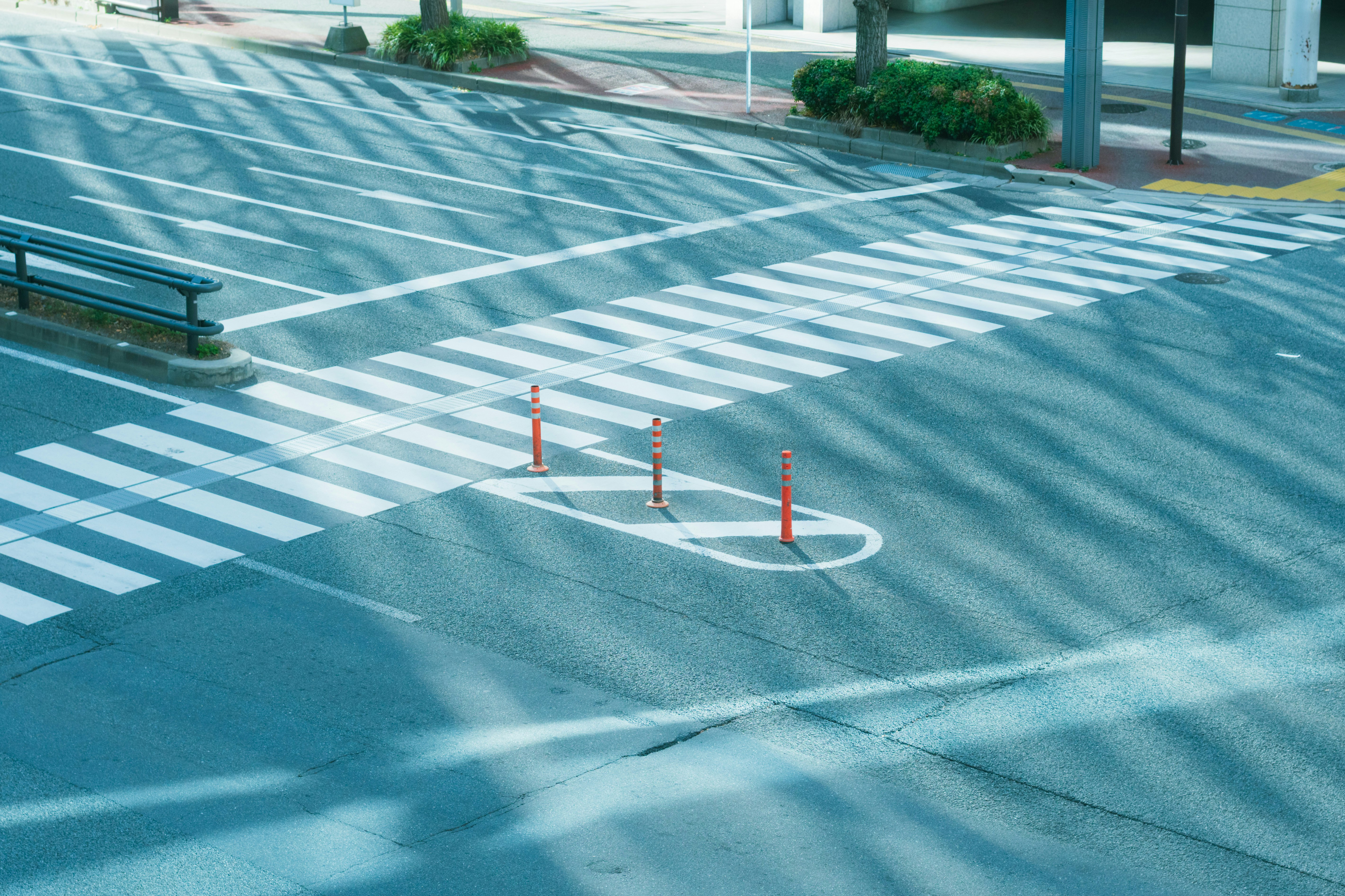 2026-02-pick-up-photos-no-310-314-cover-image