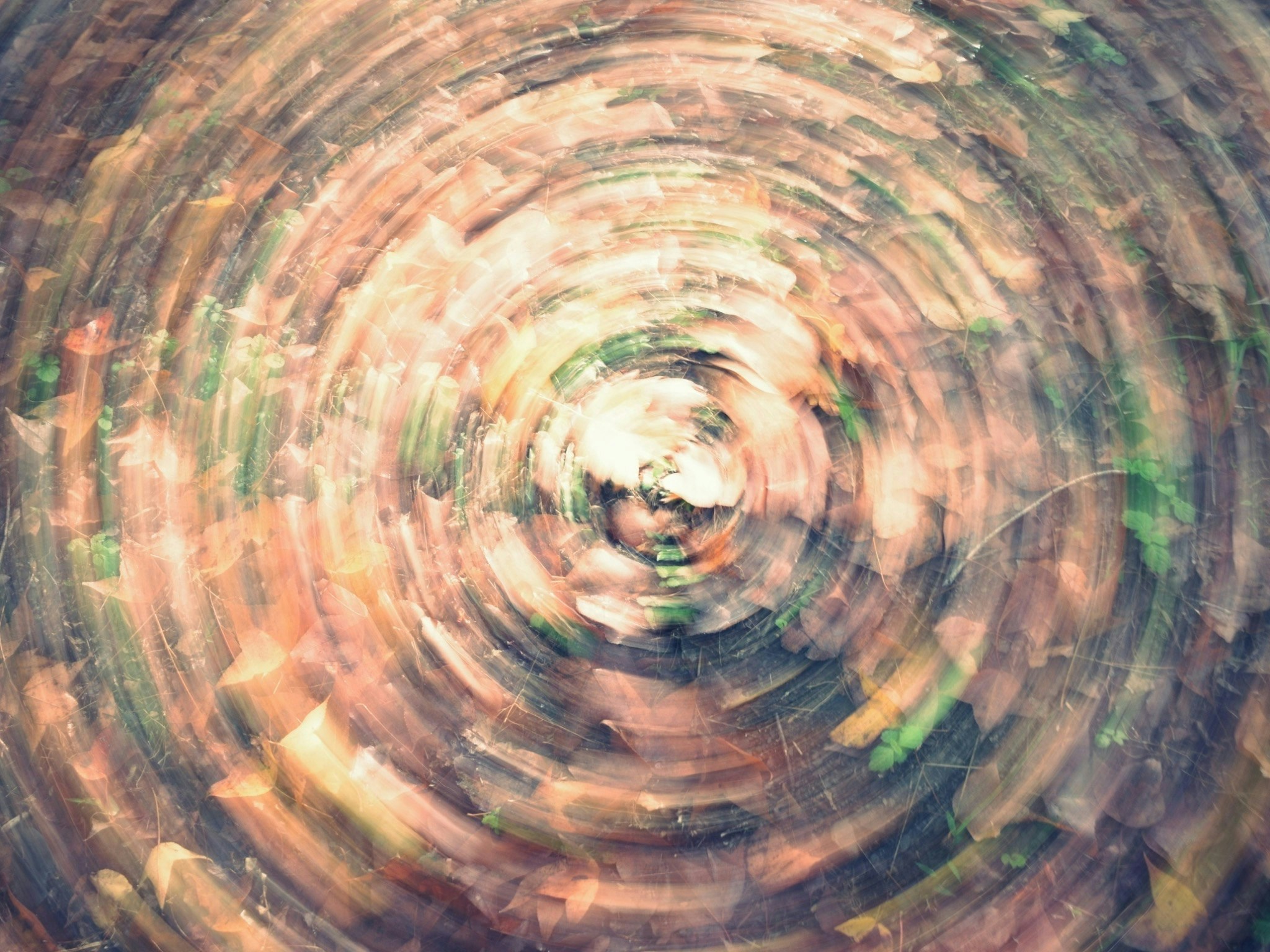 2026-03-pattern-image-4