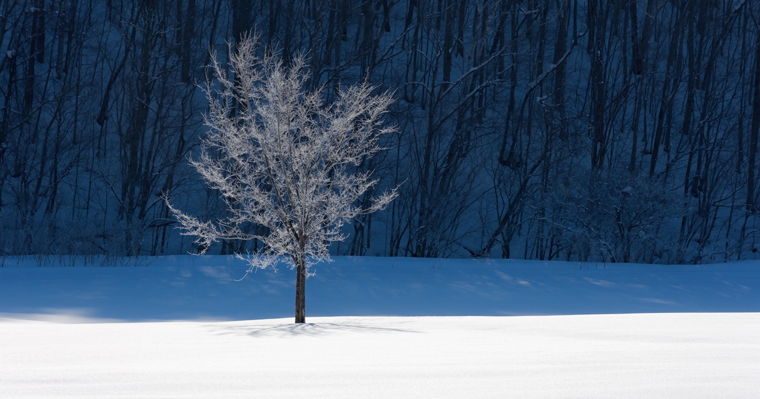 2024-01-natures-whisper-cover-image