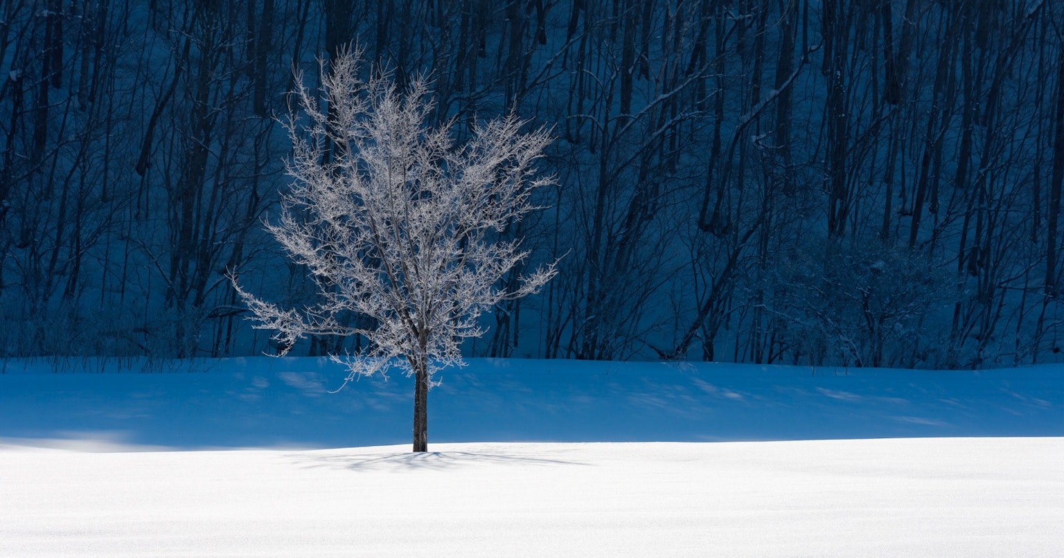 2024-01-natures-whisper-cover-image