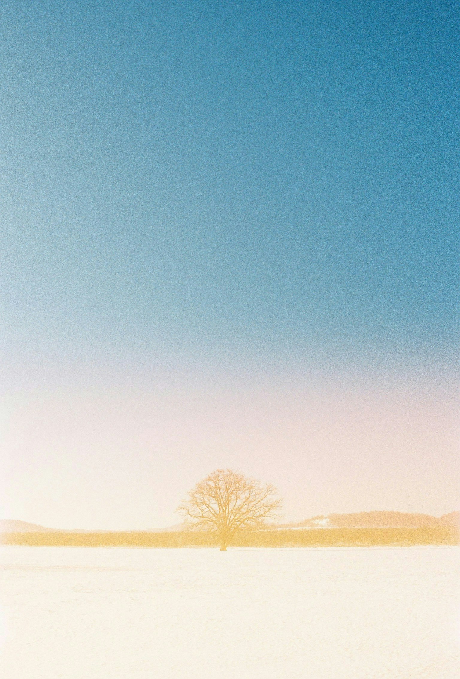 2025-05-remm-meets-film-image-19