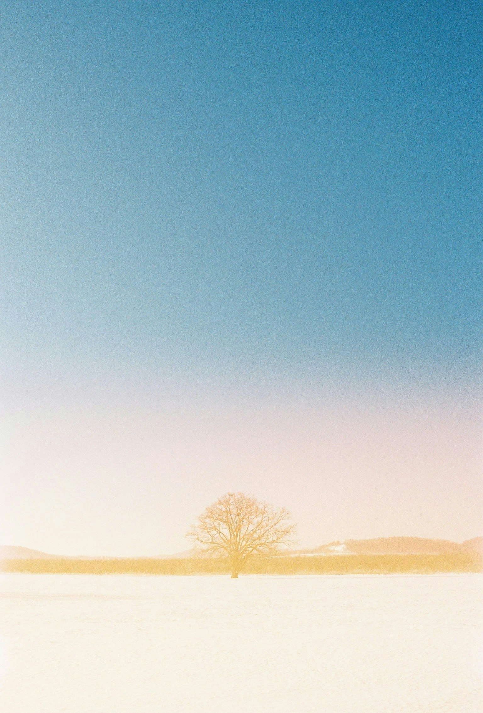2025-05-remm-meets-film-image-19