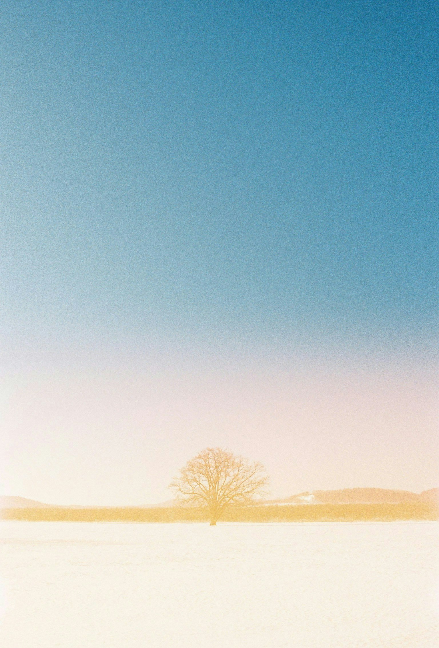 2025-05-remm-meets-film-image-19