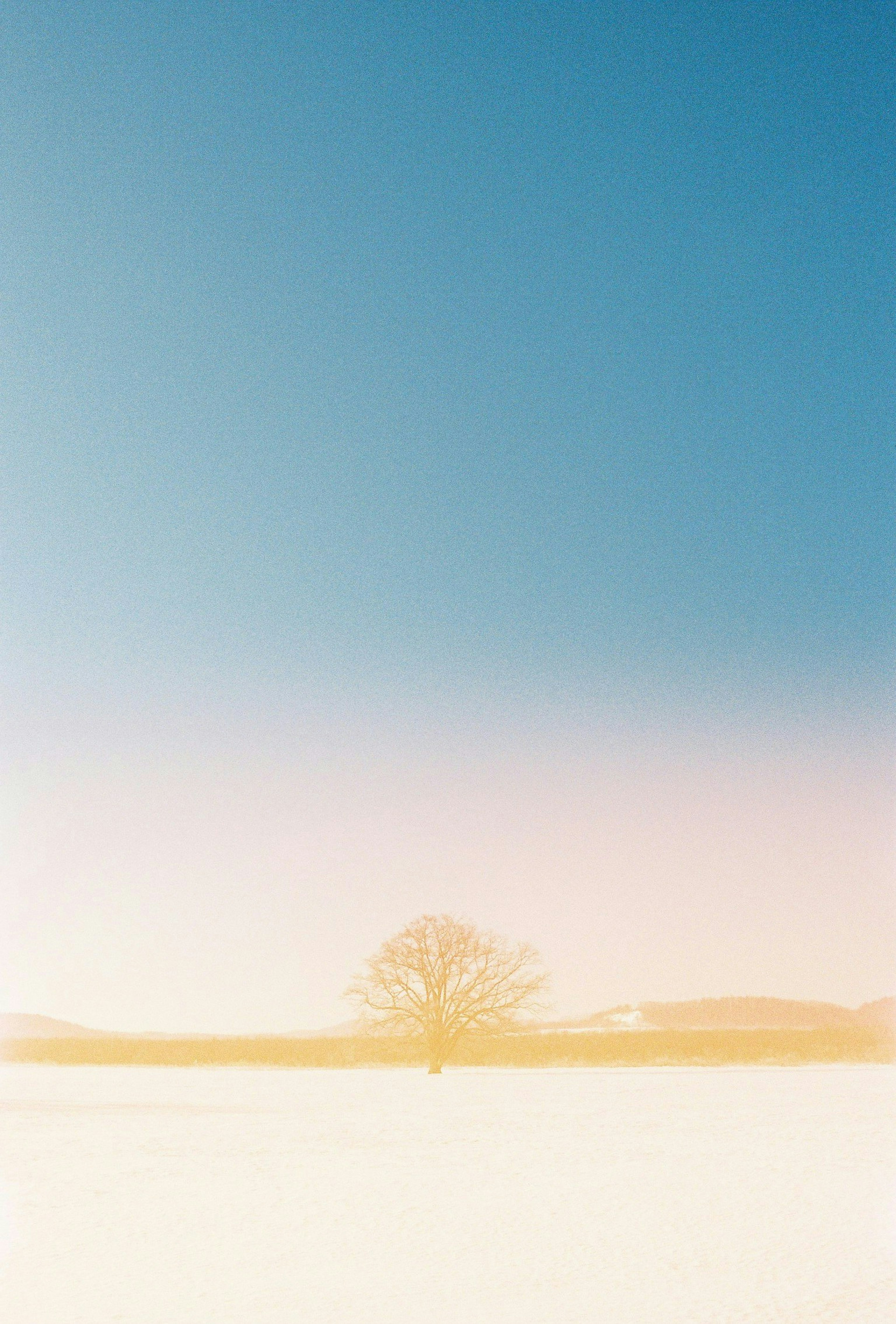 2025-05-remm-meets-film-image-19