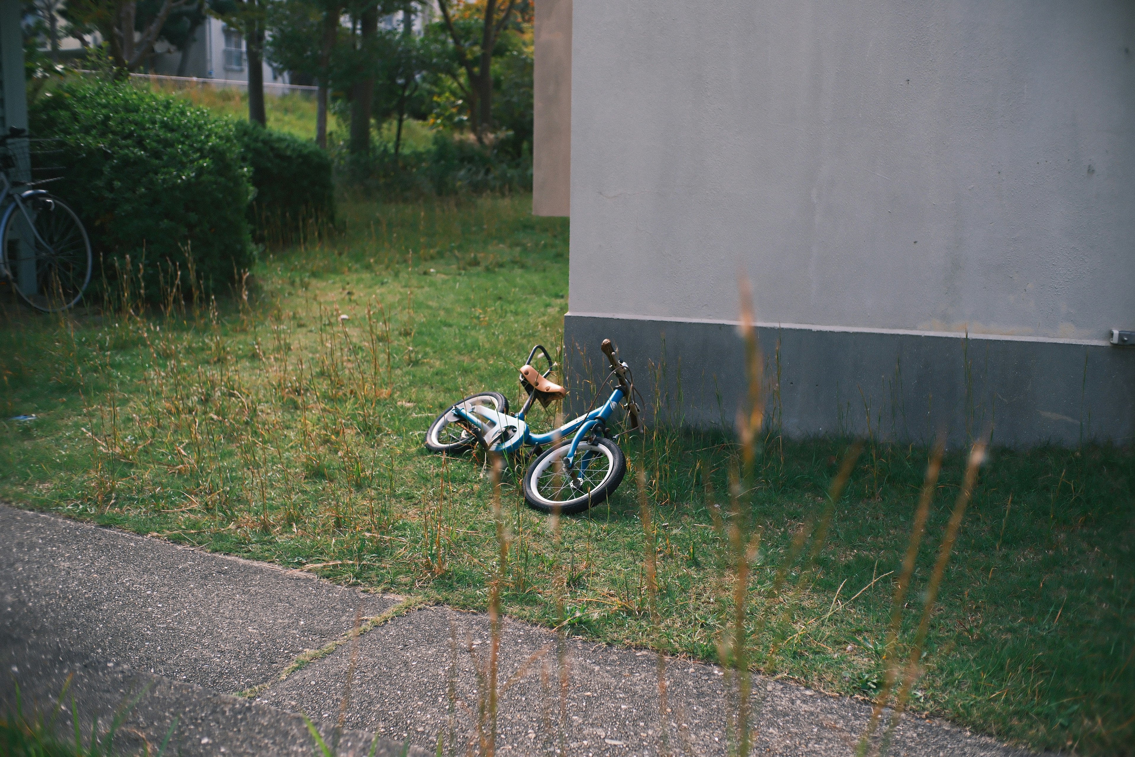 2025-11-photo-contest-pr-cover-image