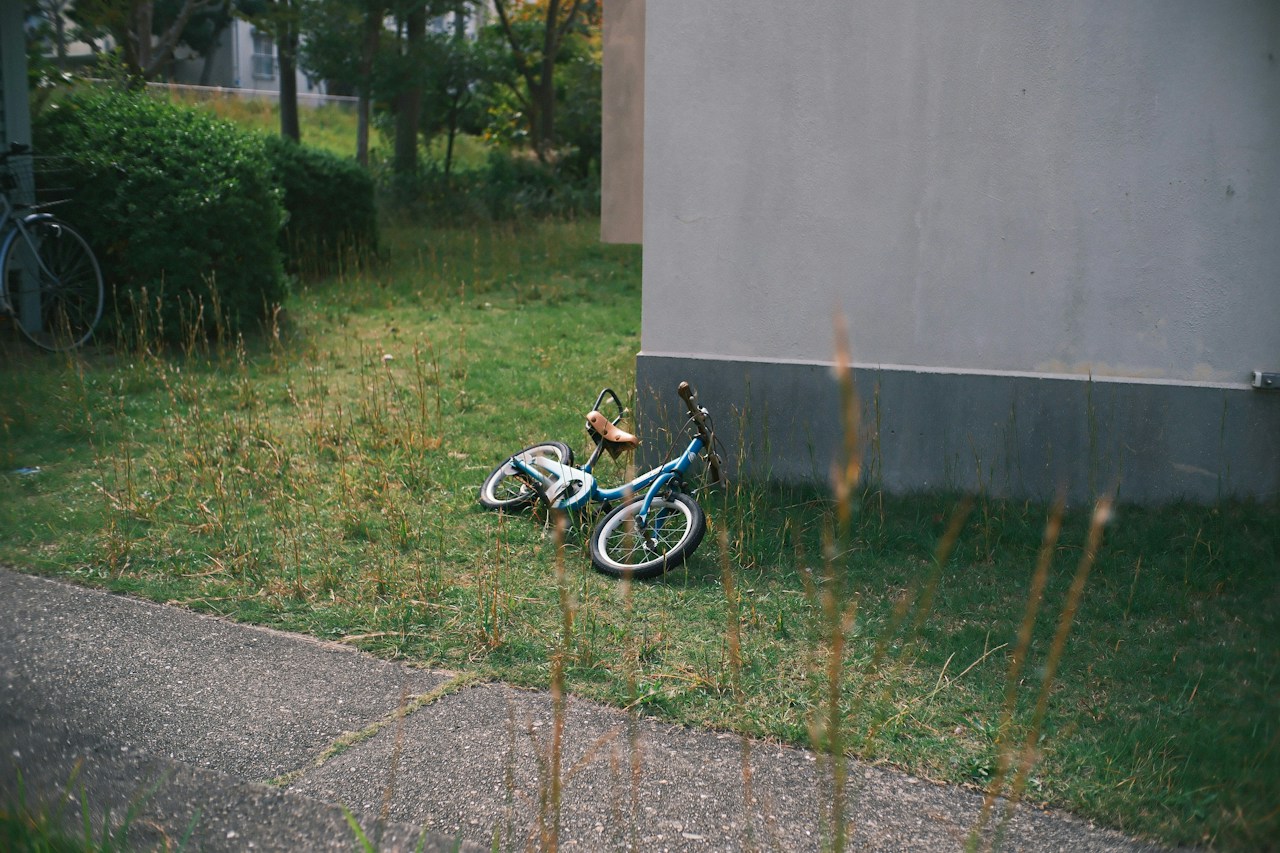 Photo by 萩原武流|하기하라 타케루