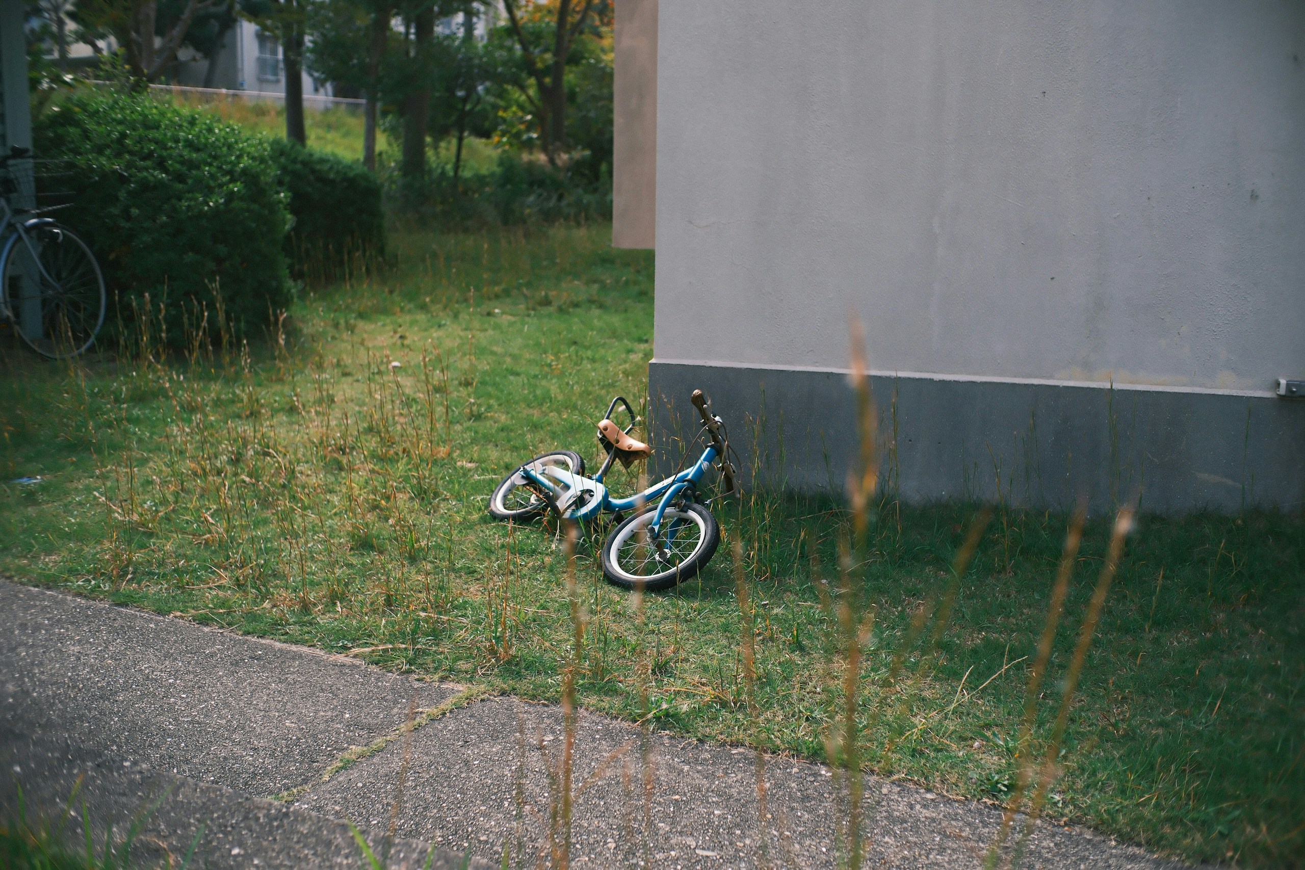 2025-11-photo-contest-pr-image-9