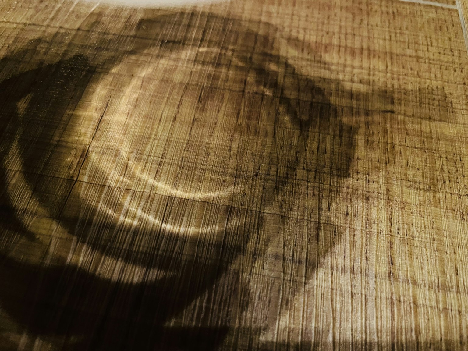 2023-10-find-c-award-image-7