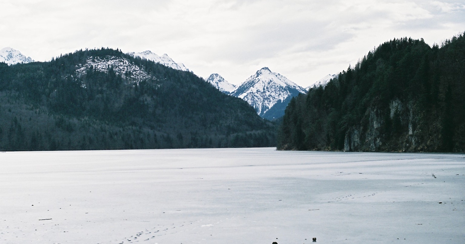 2024-04-check-it-out-rollei-35-af-cover-image