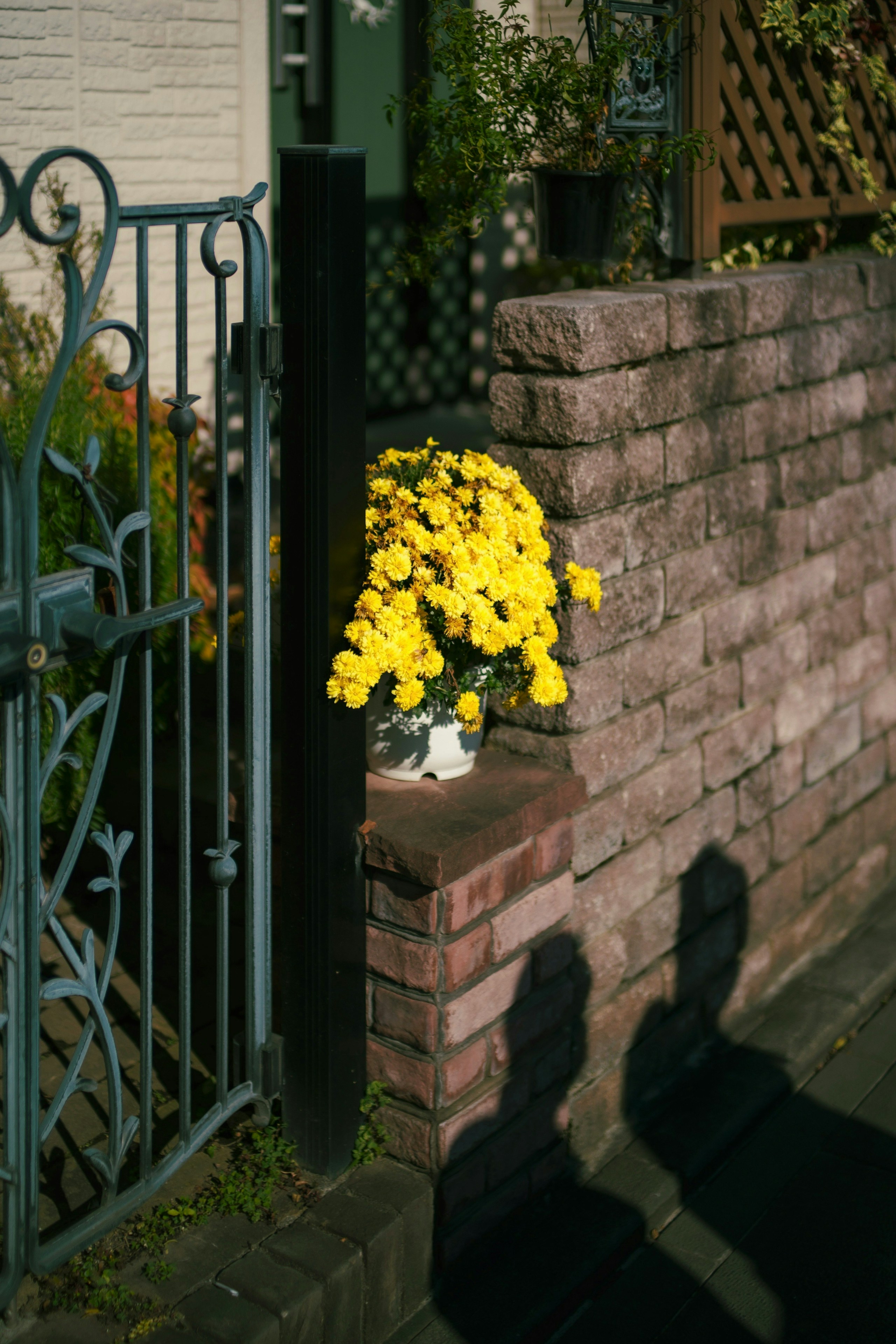 2025-07-days-with-color-image-8