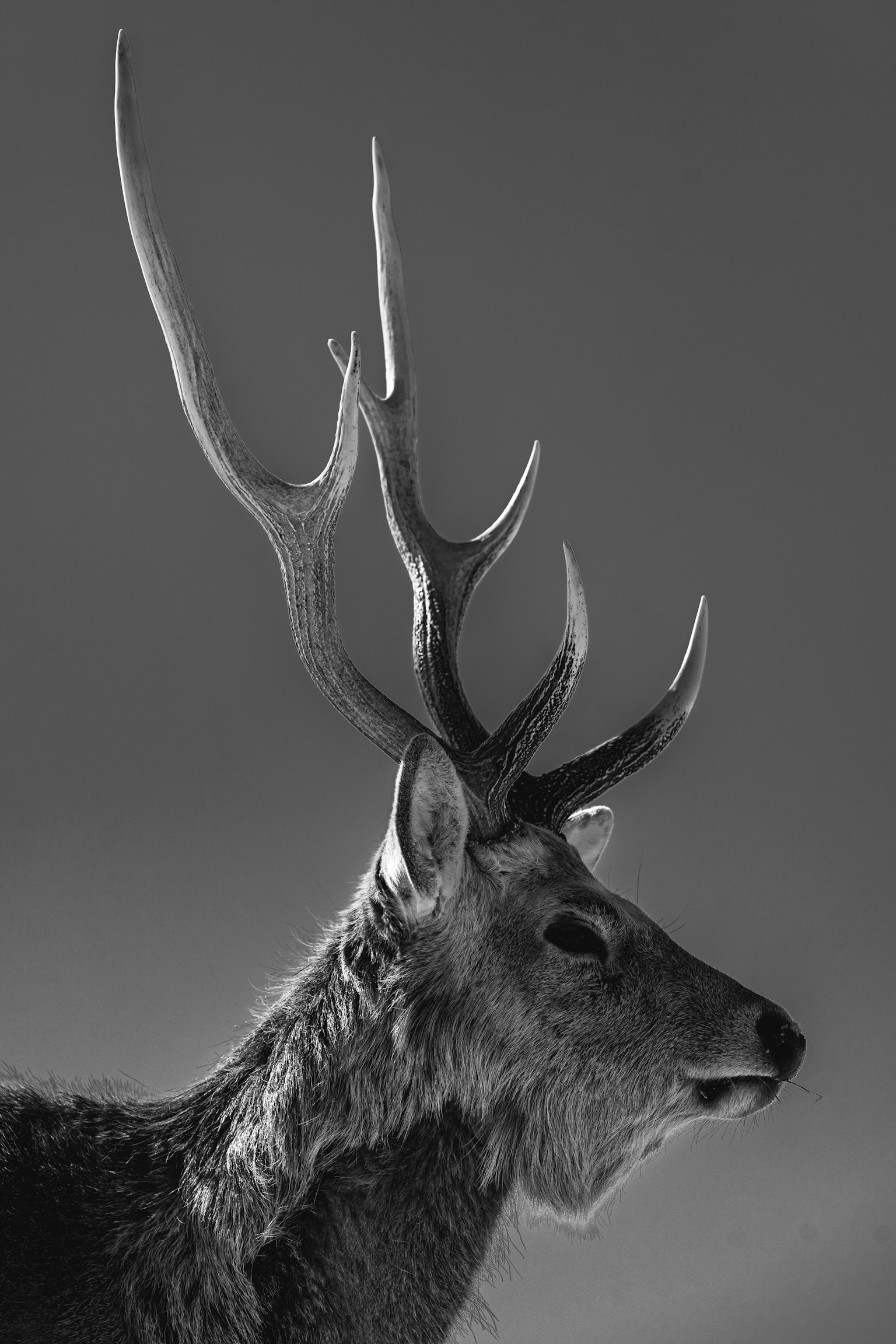 2025-04-cizucu-creative-awards-2024-winner-image-15