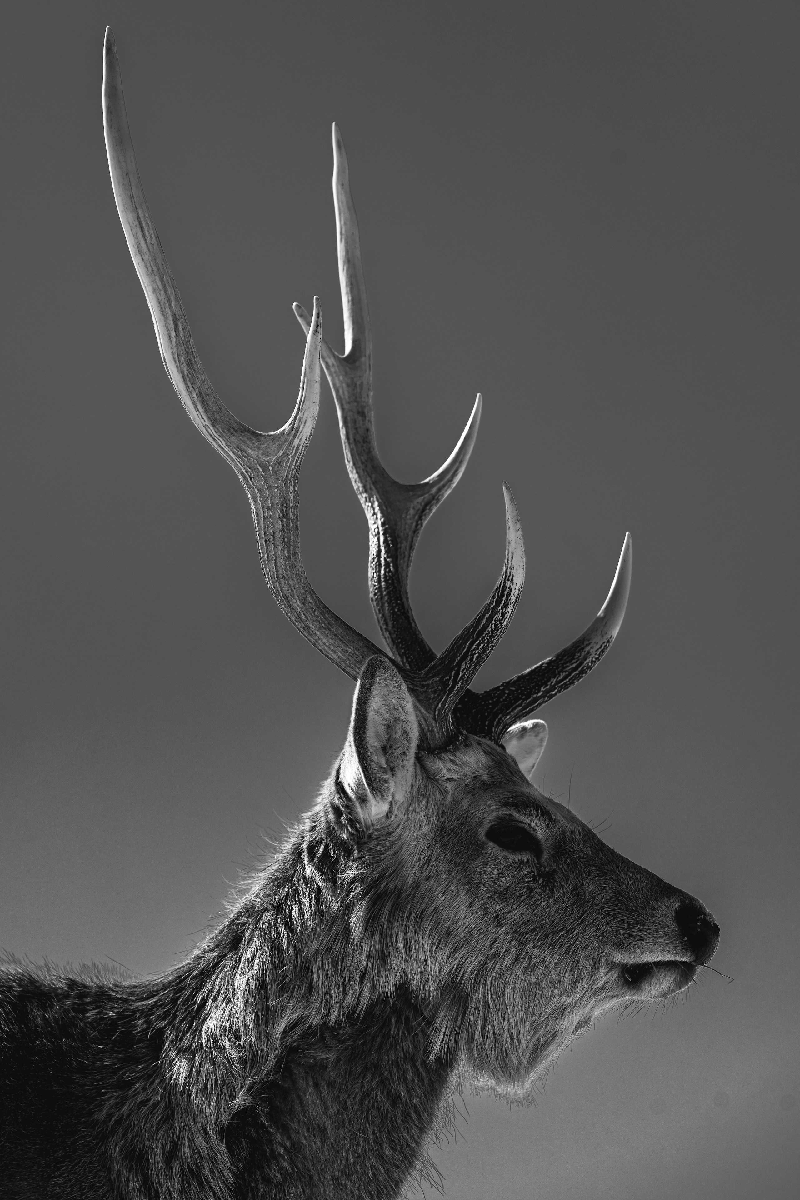 2025-04-cizucu-creative-awards-2024-winner-image-15