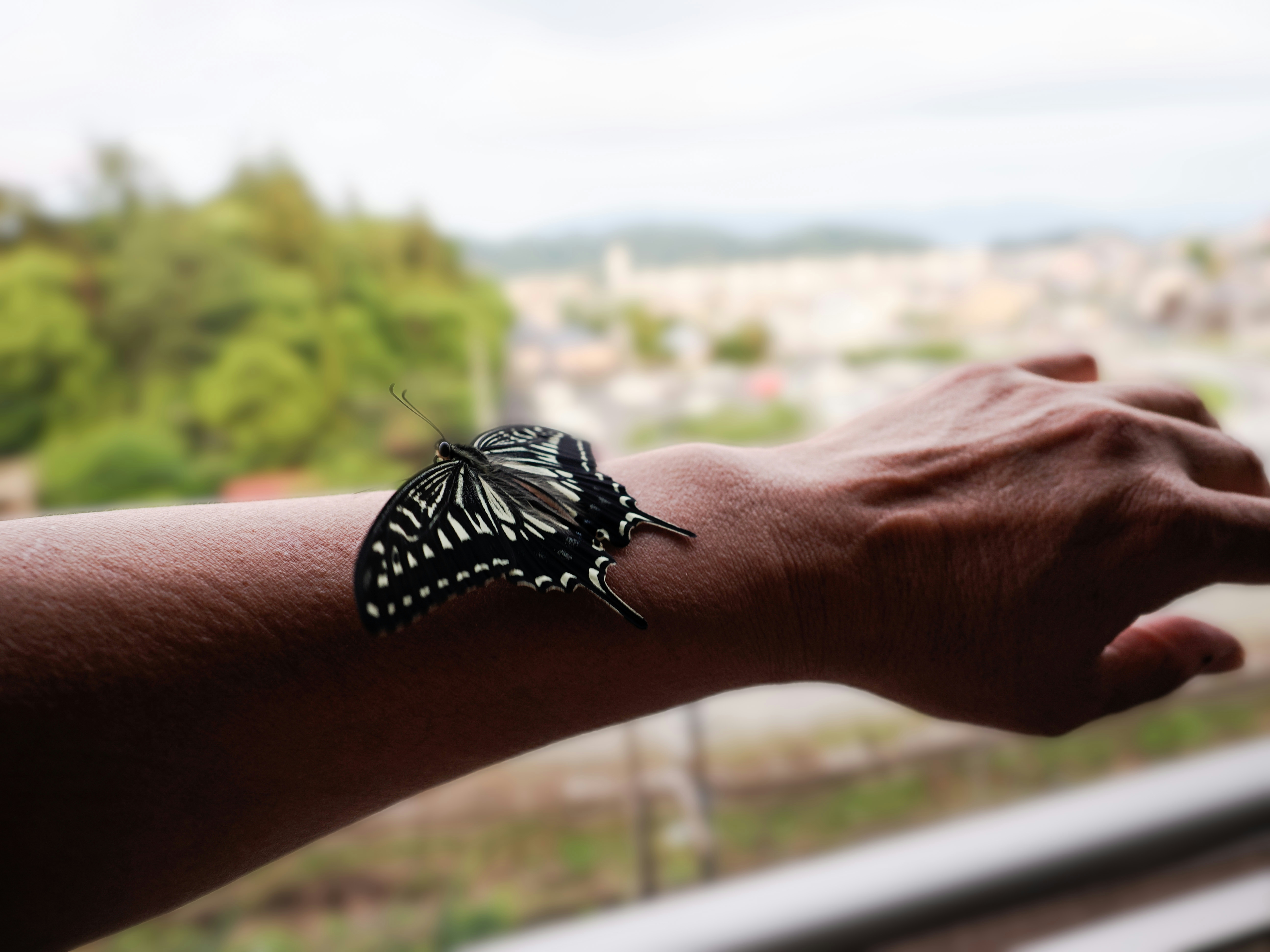 2026-03-breathing-with-earth-cover-image