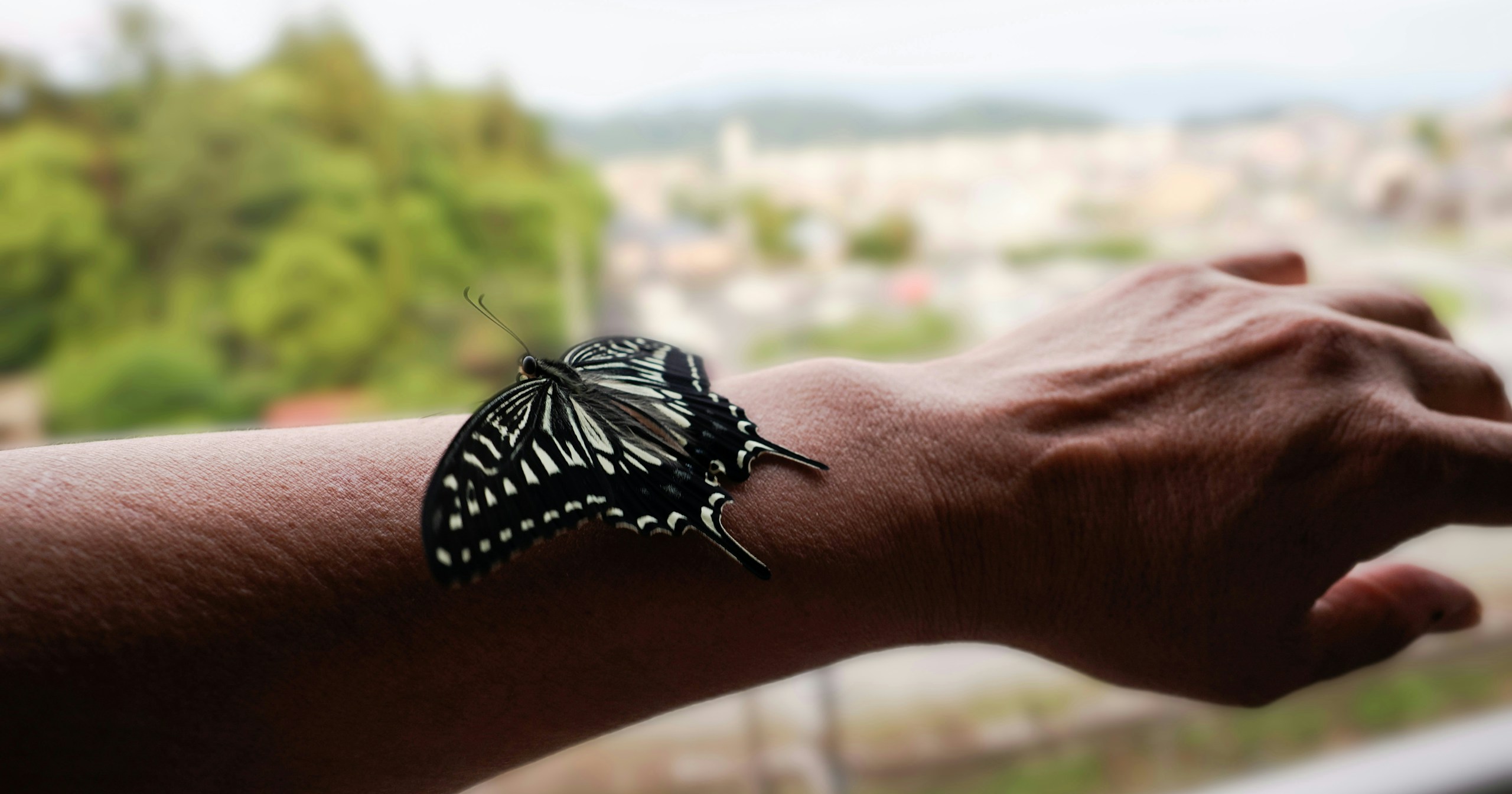 cizucu presenta 『Breathing with Earth』| Challenge #338
