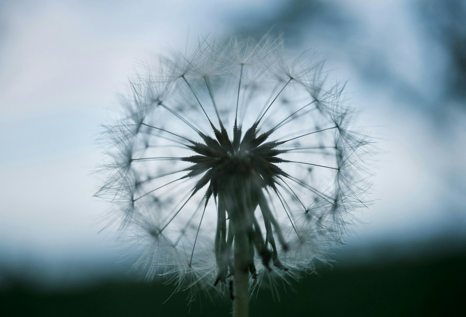 2024-08-100-years-of-green-award-image-9