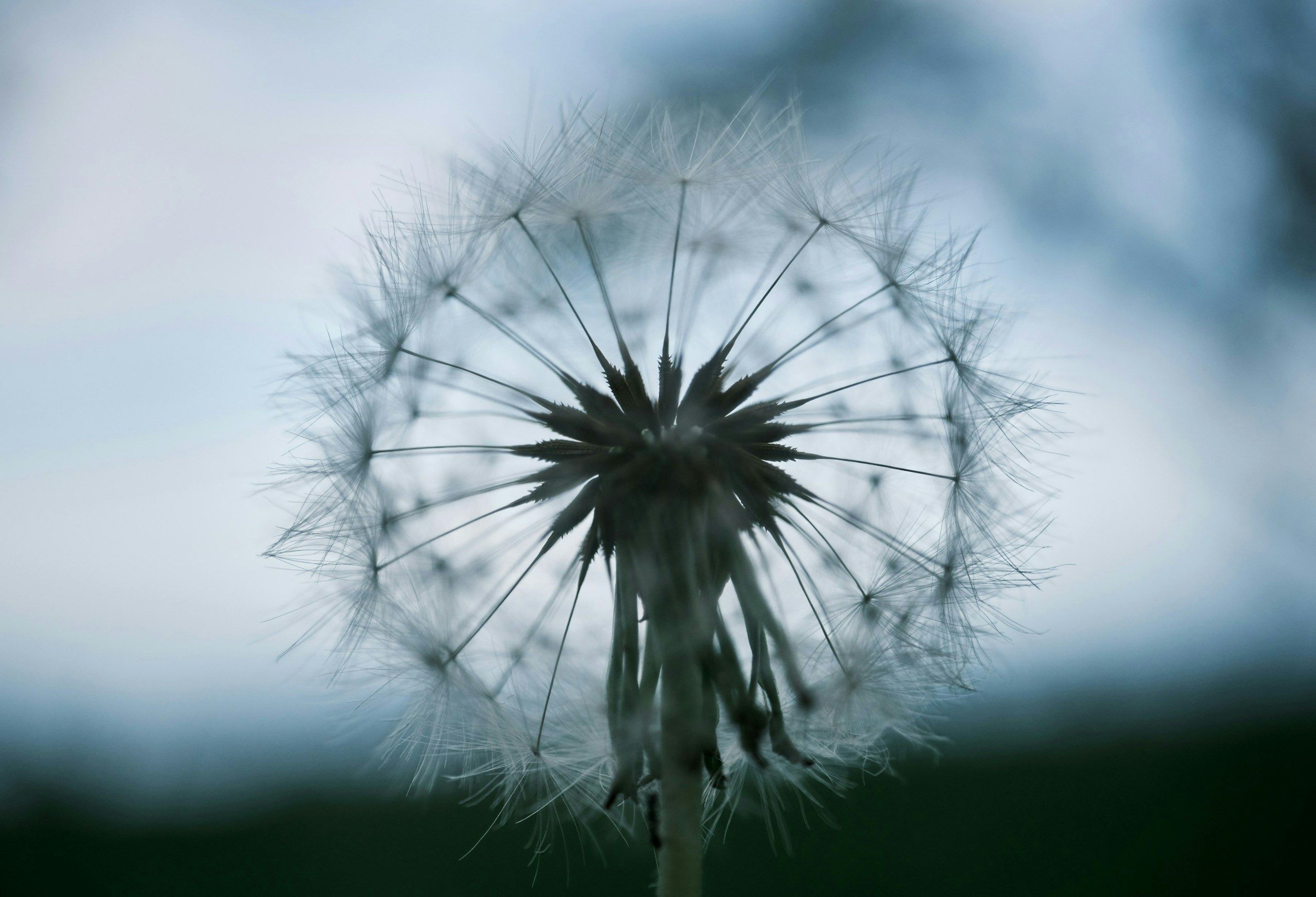 2024-08-100-years-of-green-award-image-9