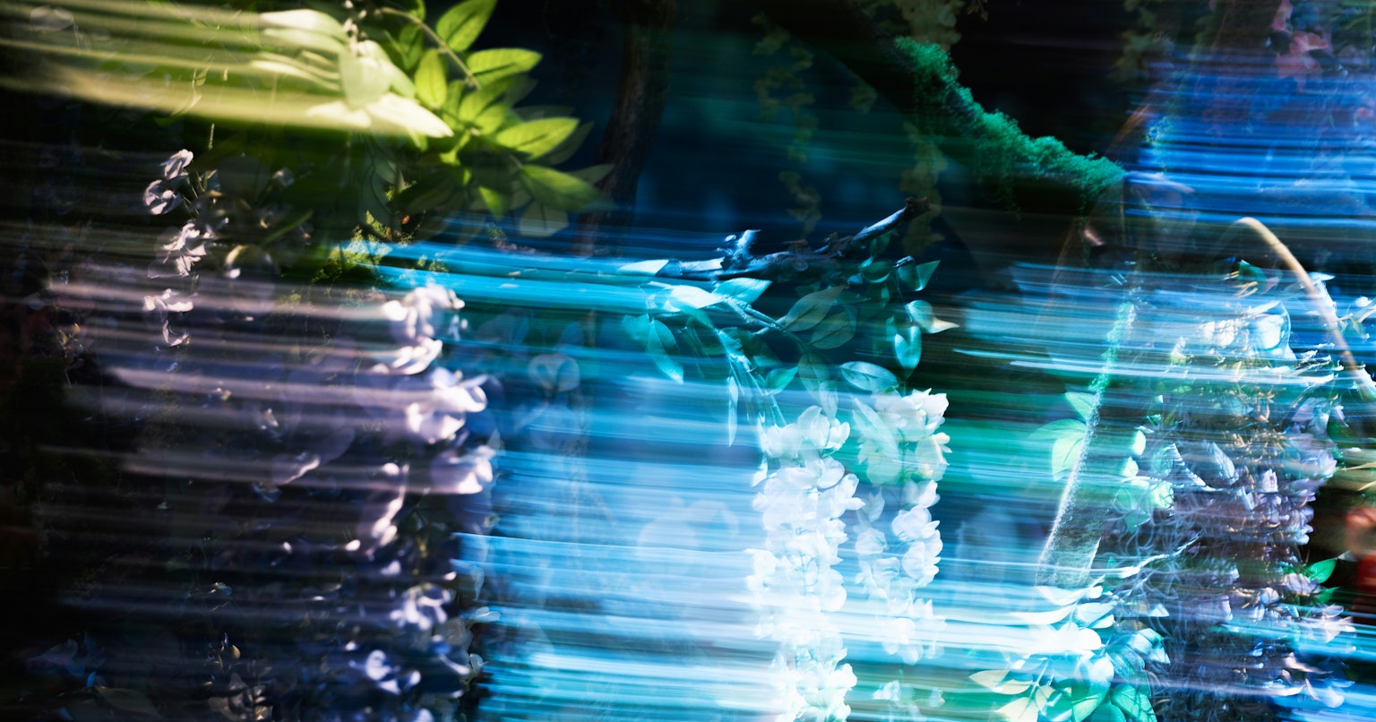 2025-01-insagram-edits-app-cover-image