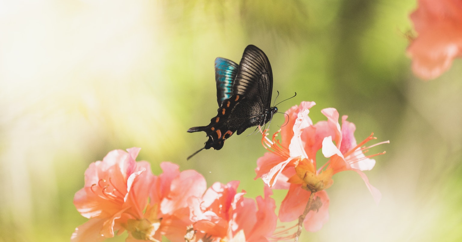 2024-02-life-cover-image