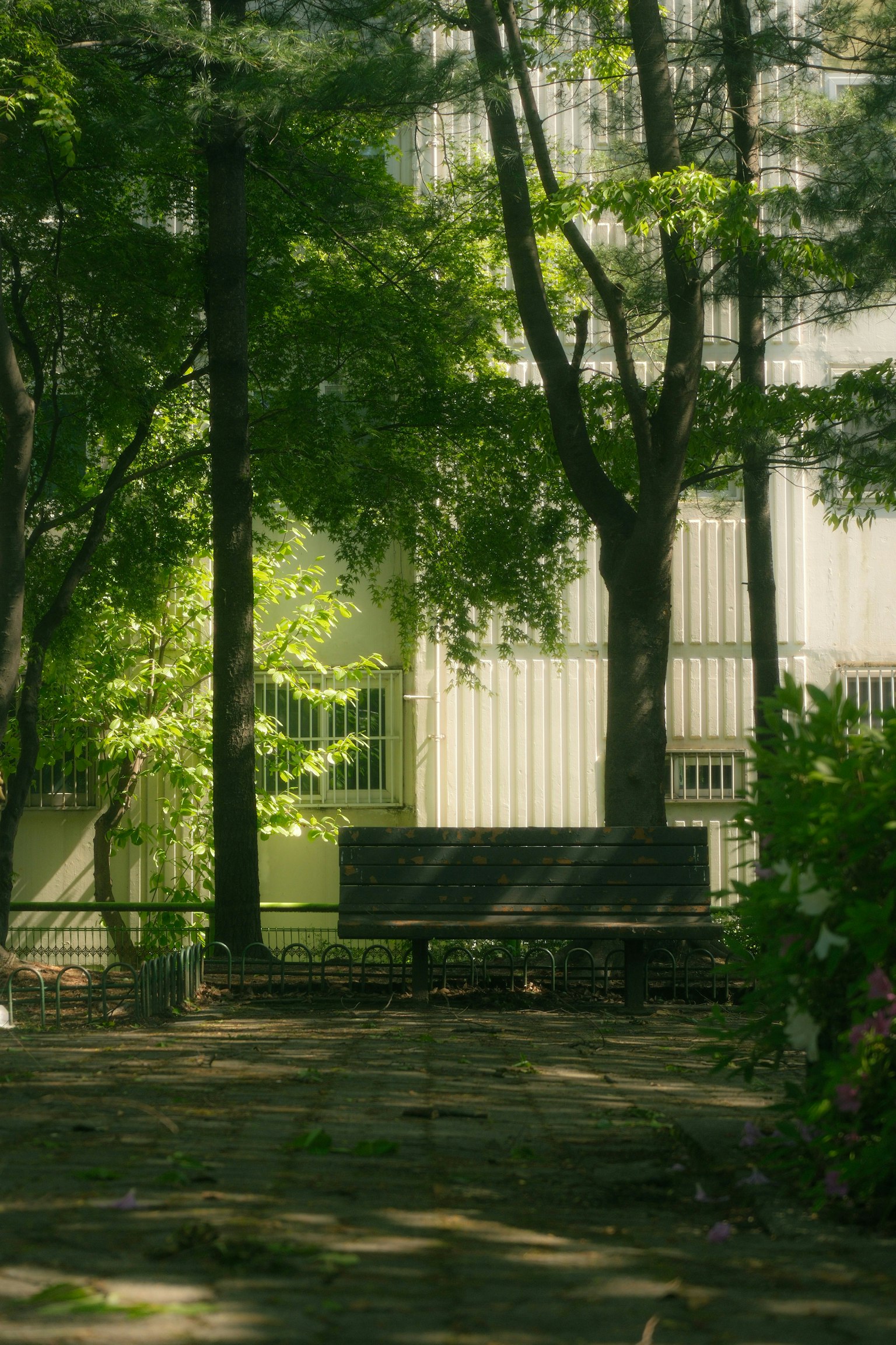 2025-11-ppp-review-by-eugenefilm-image-13