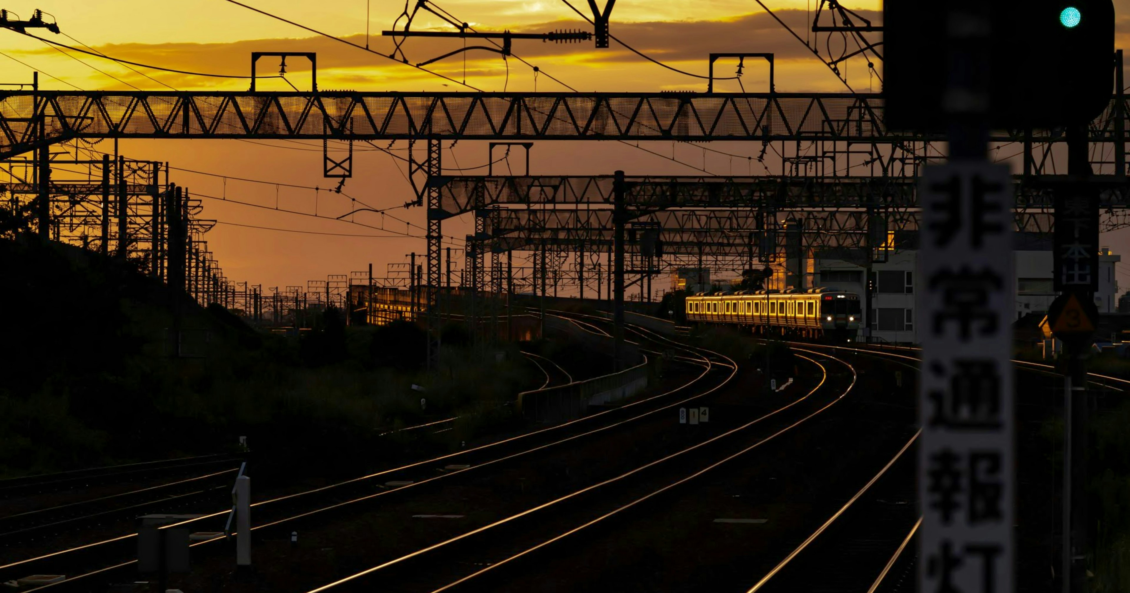 2024-12-changing-perspectives-photography-cover-image