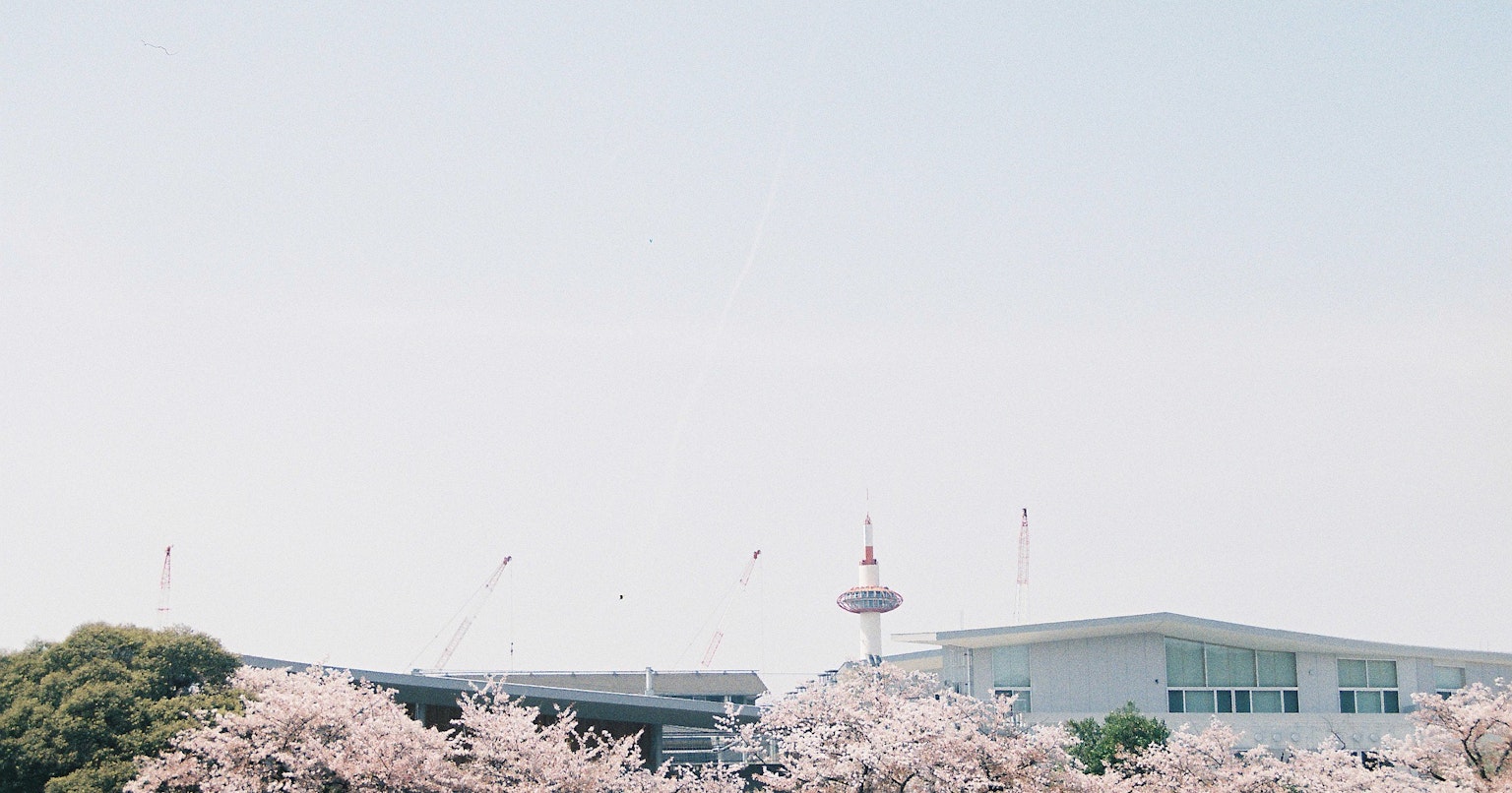 2024-03-guide-of-sakura-photography-cover-image