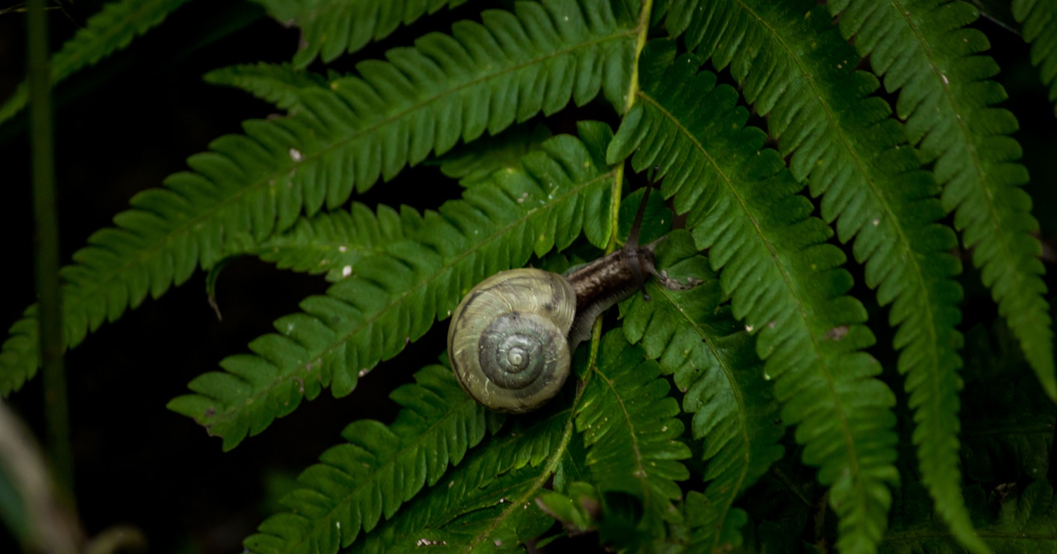 2024-06-may-diary-award-cover-image