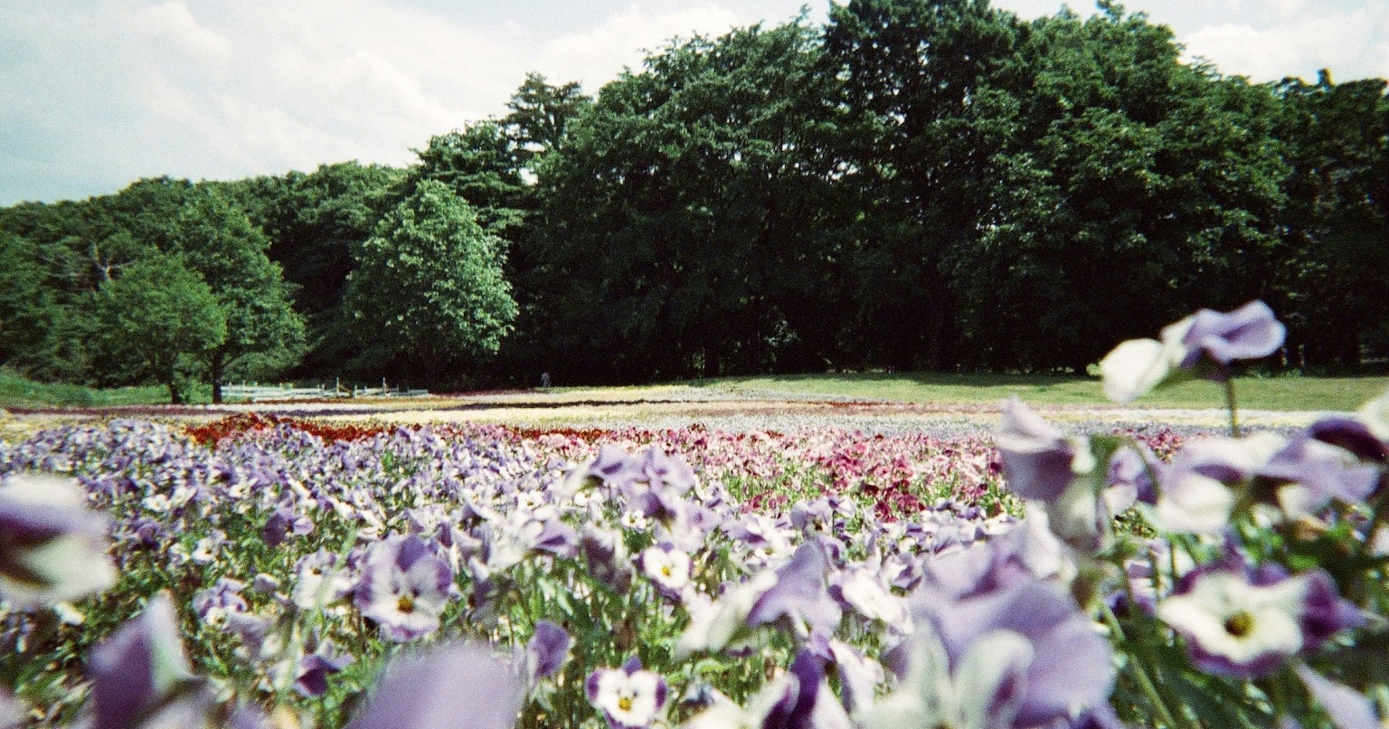 2025-04-fujifilm-film-price-increase-cover-image