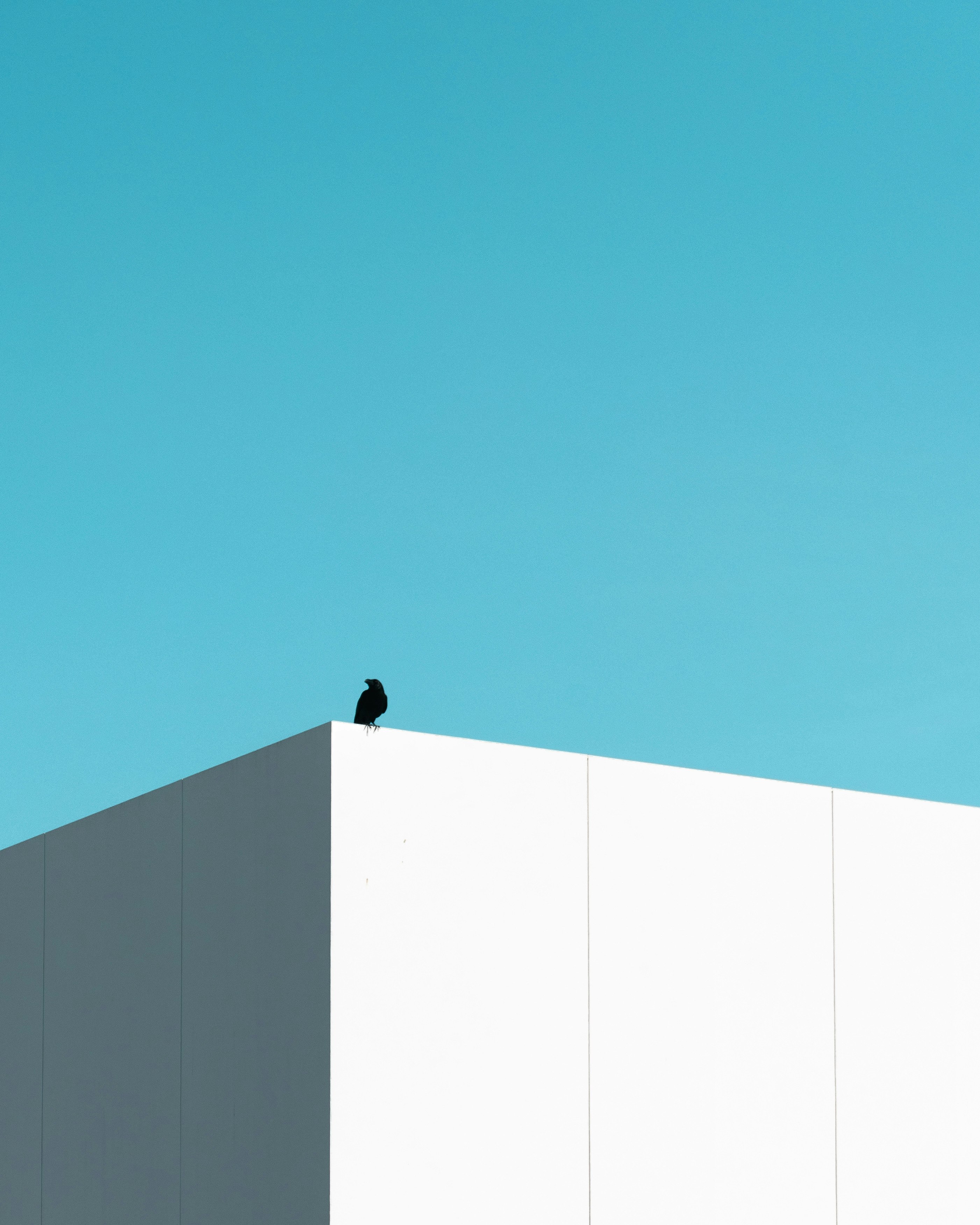 20260-04-blue-sky-negative-space-70-rule-image-5