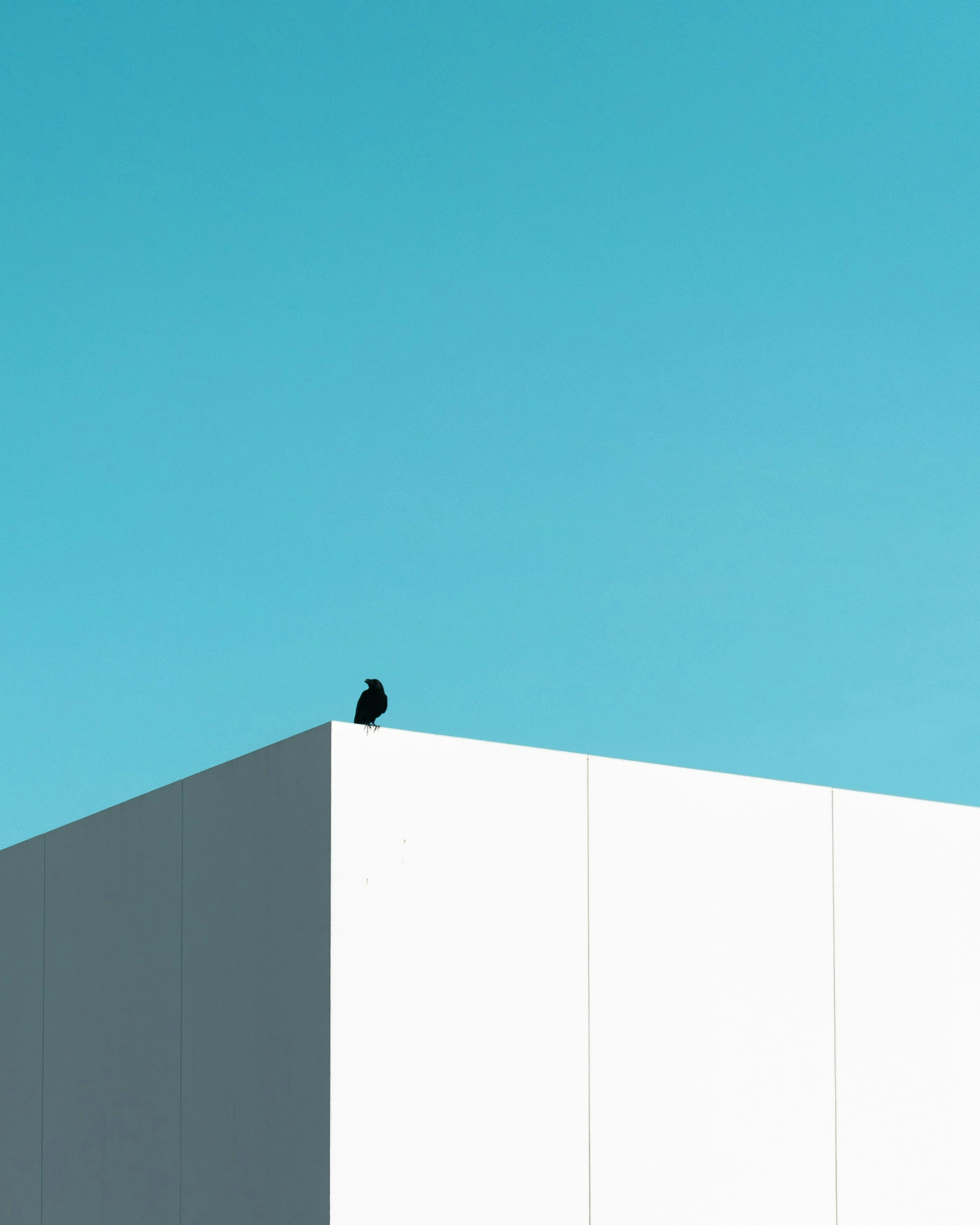 20260-04-blue-sky-negative-space-70-rule-image-5