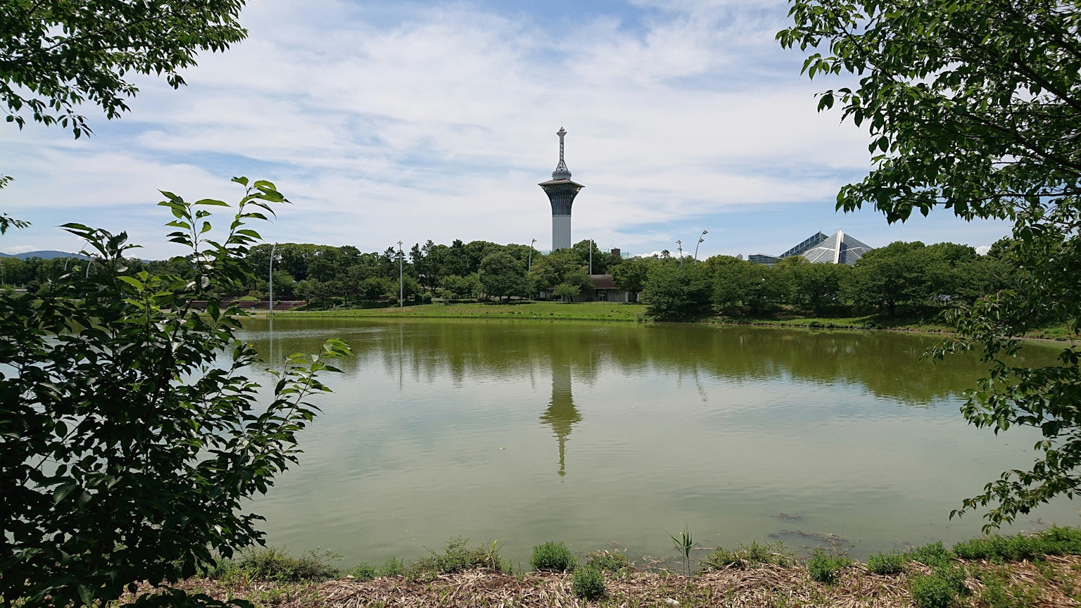 2025-09-parks-vibes-image-8