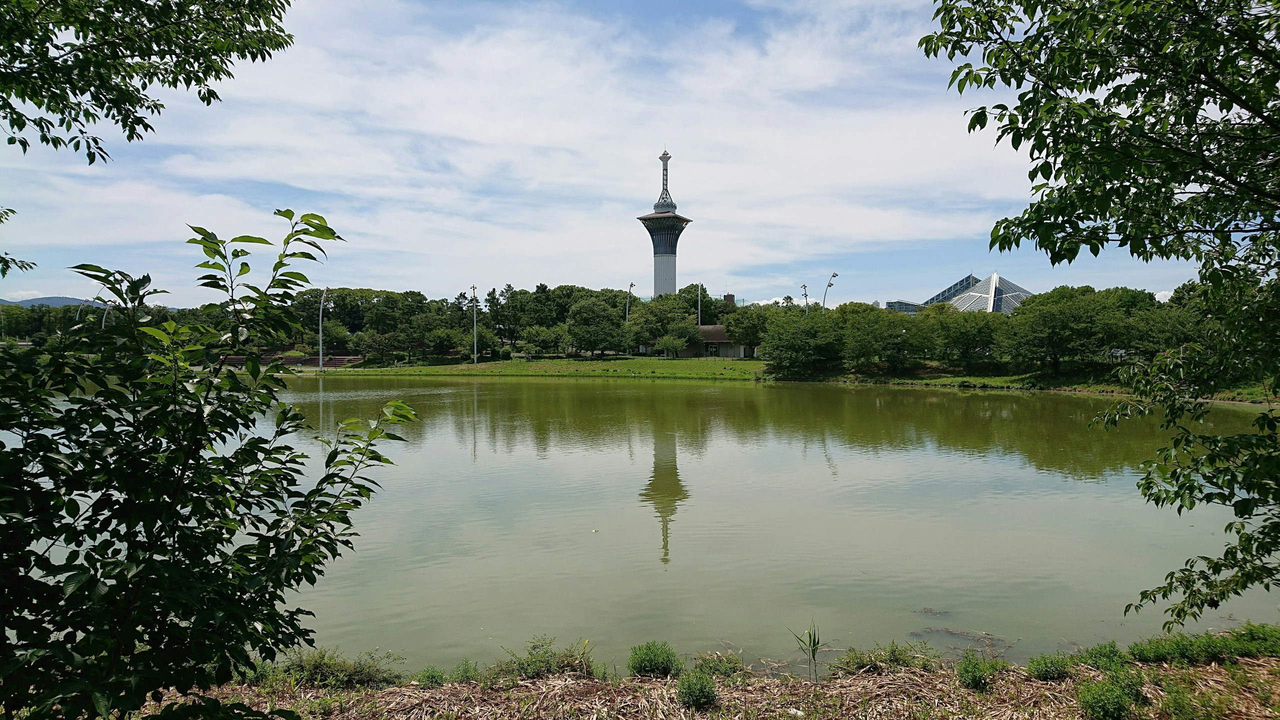 2025-12-parks-vibes-award-image-10