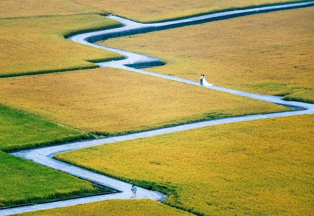 Photo by Yi-Hsuan Lin