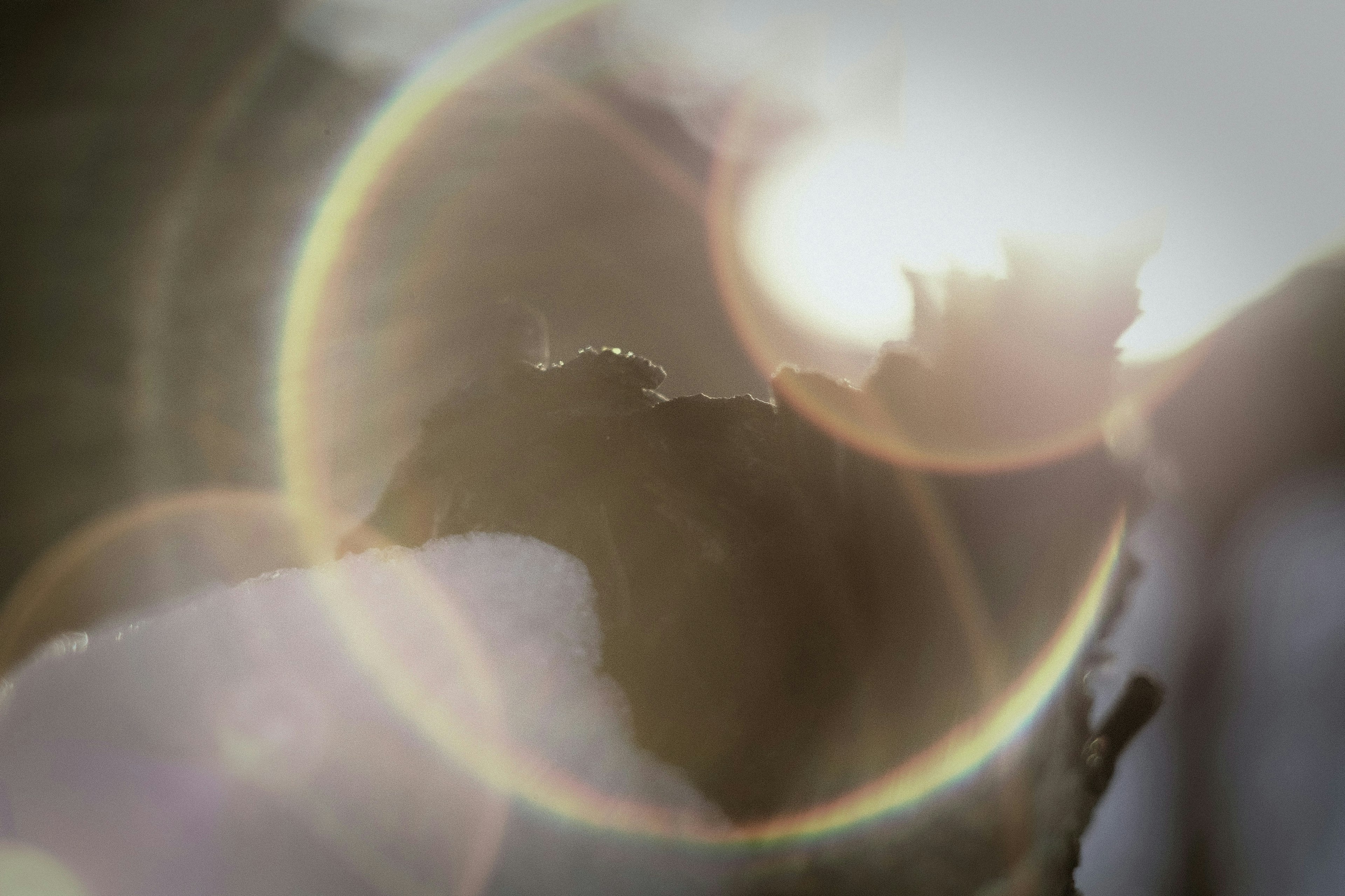 2025-05-lens-image-5