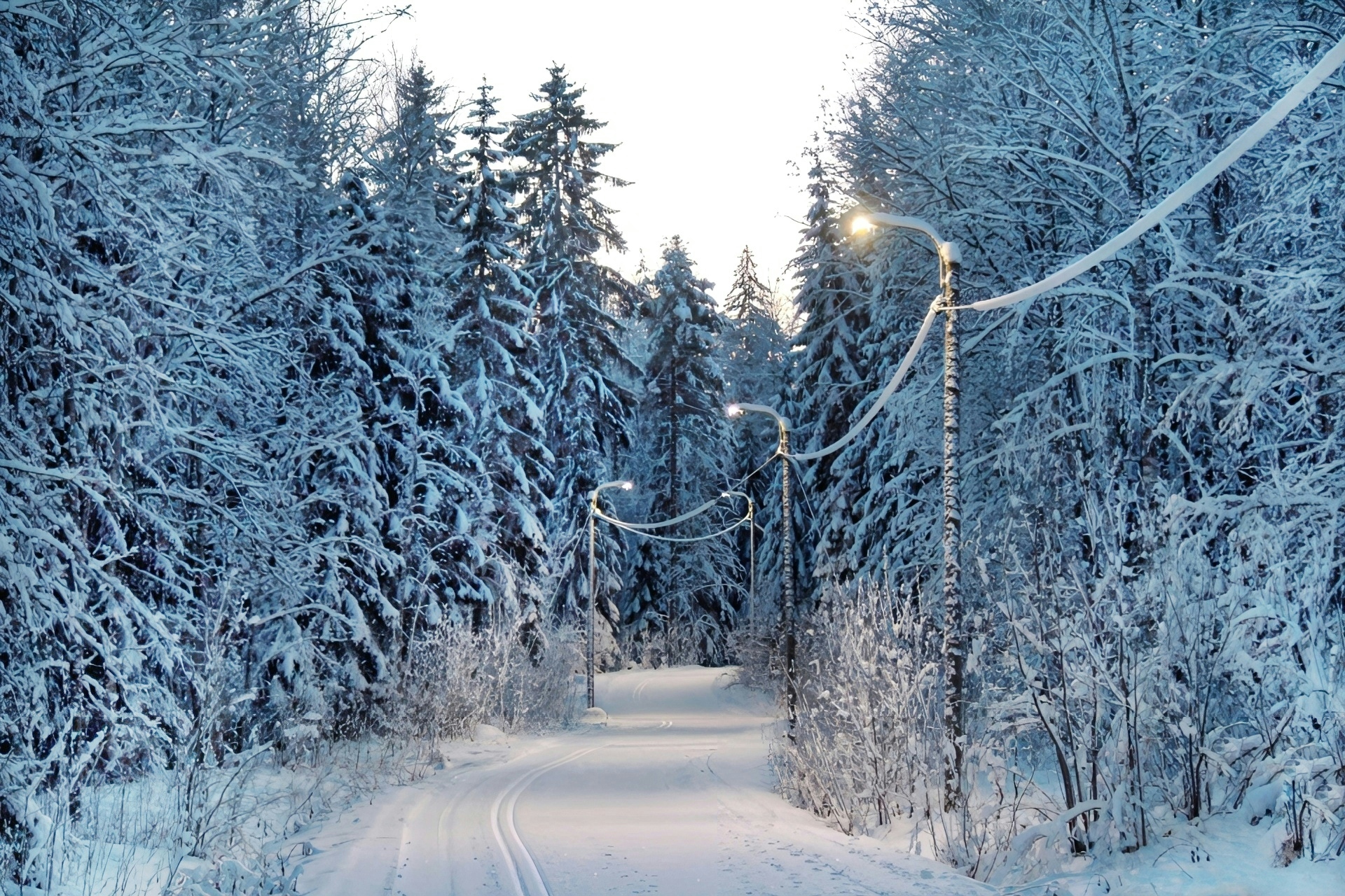 2026-02-reading-the-trail-image-10