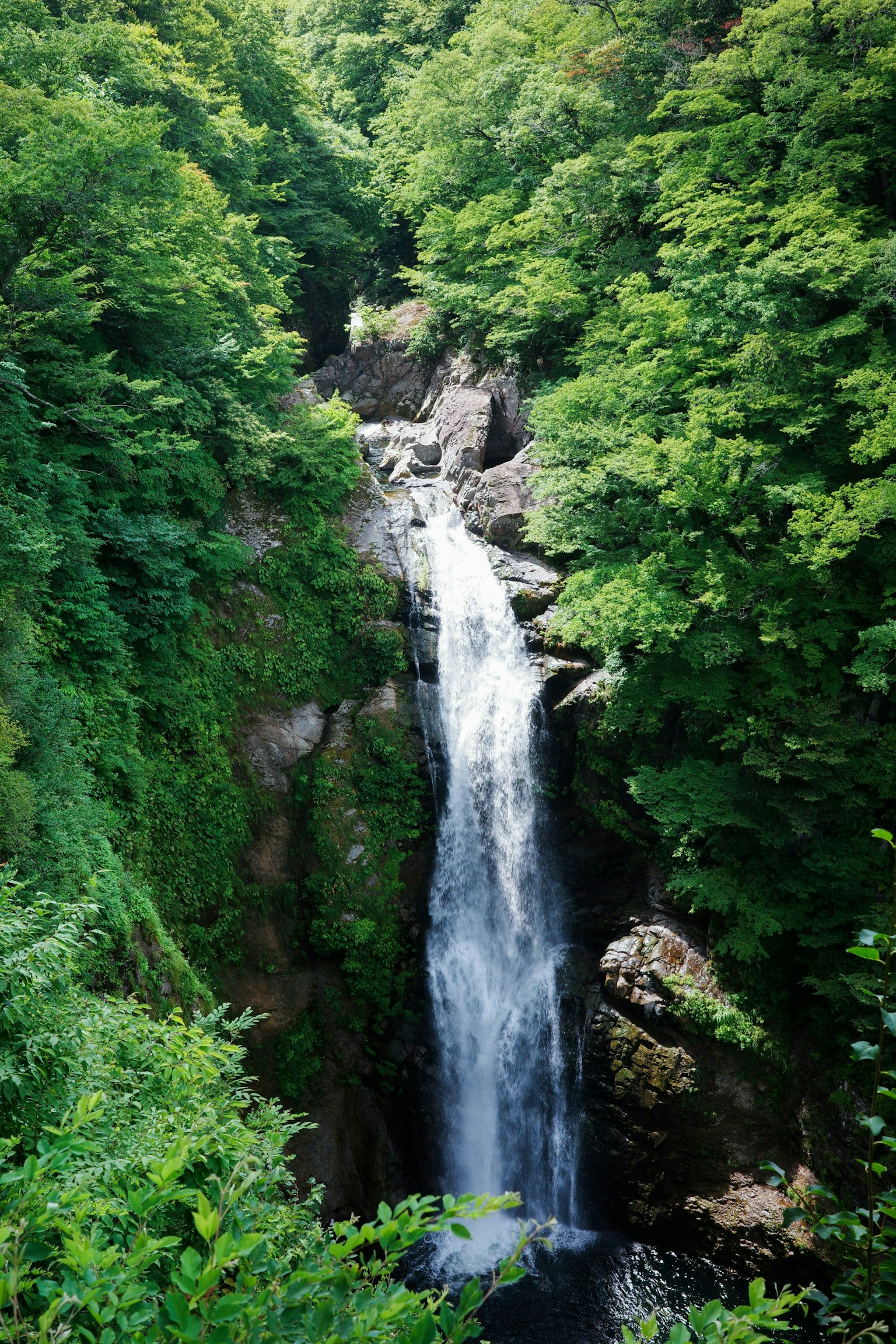 2025-08-nature-report-image-9