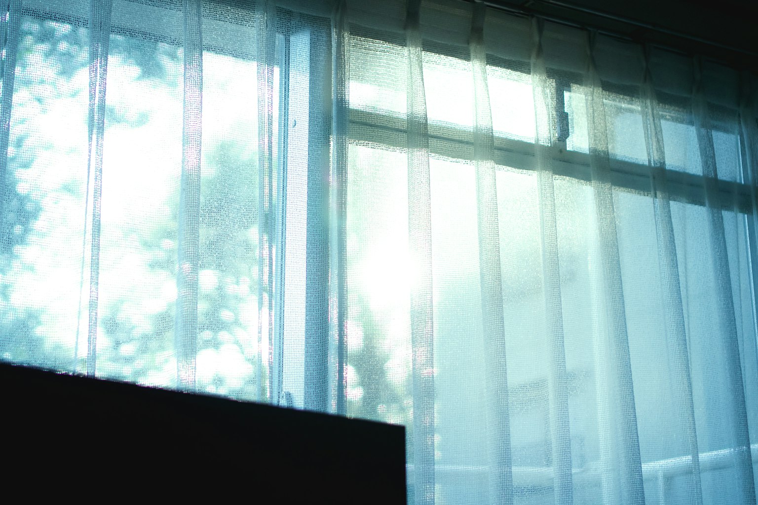 2024-05-color-of-summer-image-19