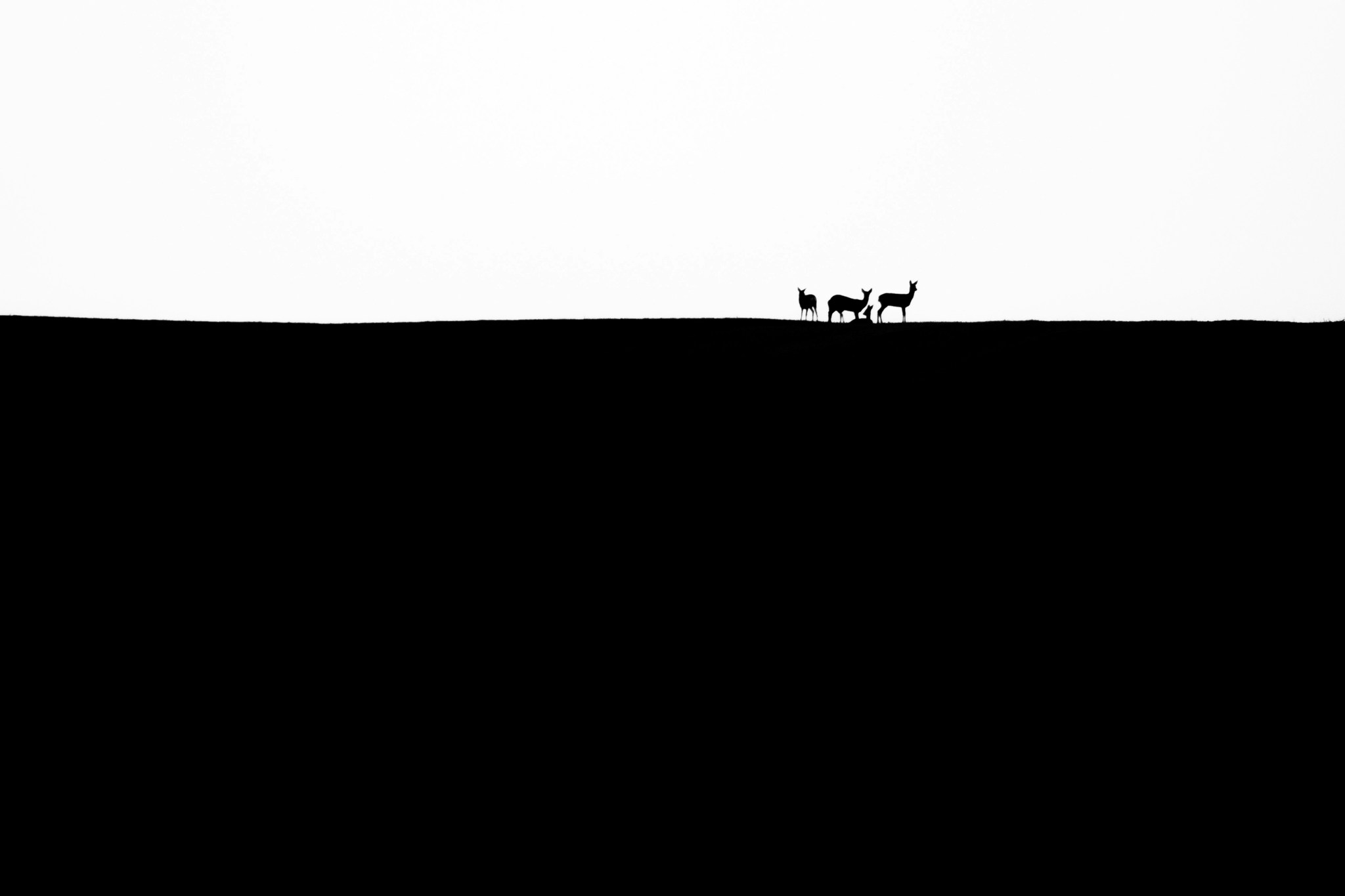 ©︎ Ákos Őrsi, Hungary