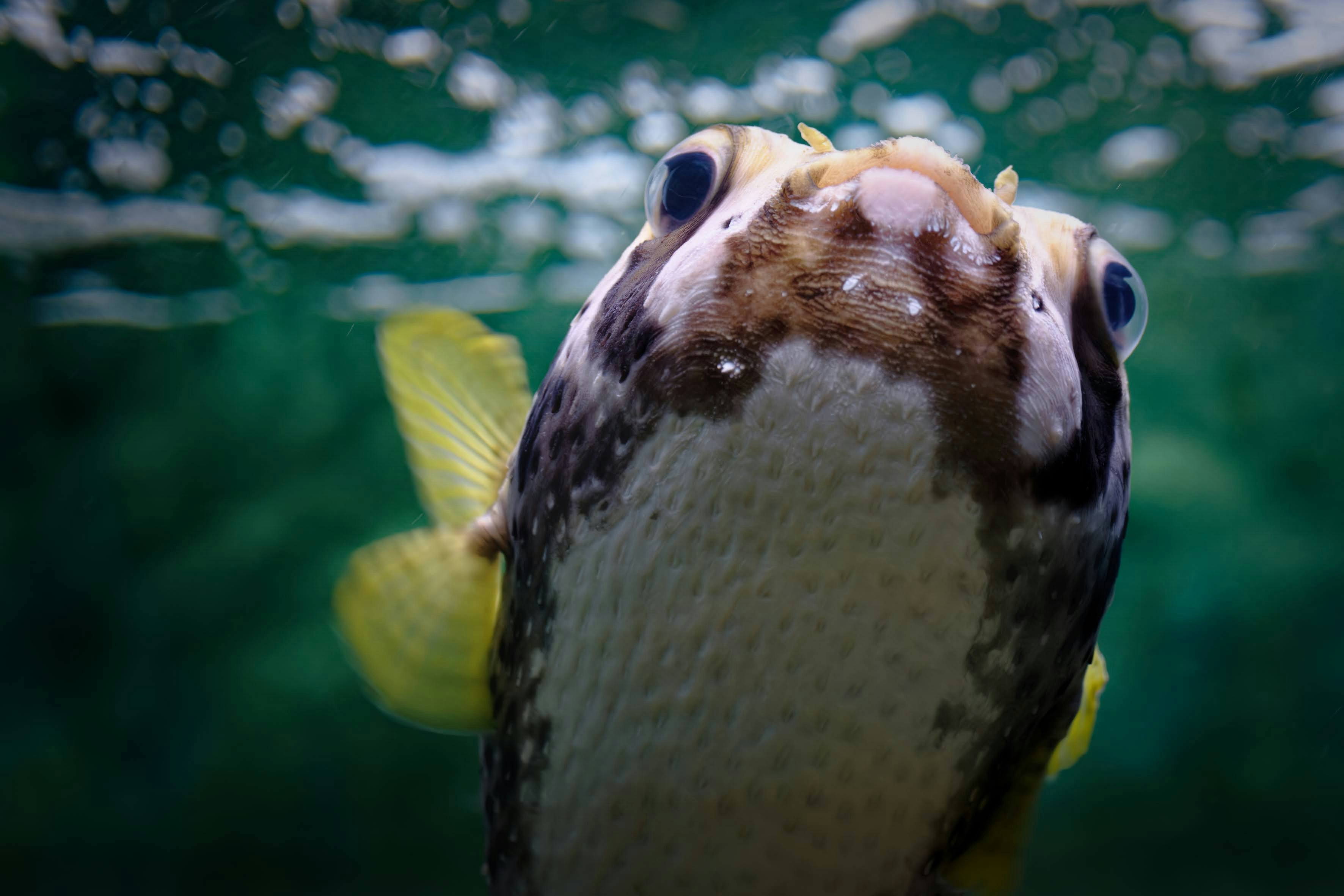 2024-10-aquarium-photography-image-5