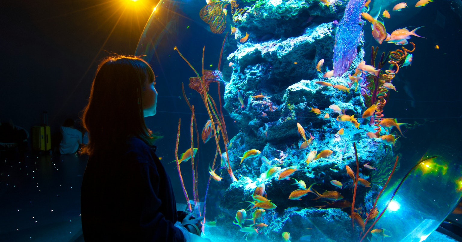 2025-11-rediscover-compact-cameras-cover-image