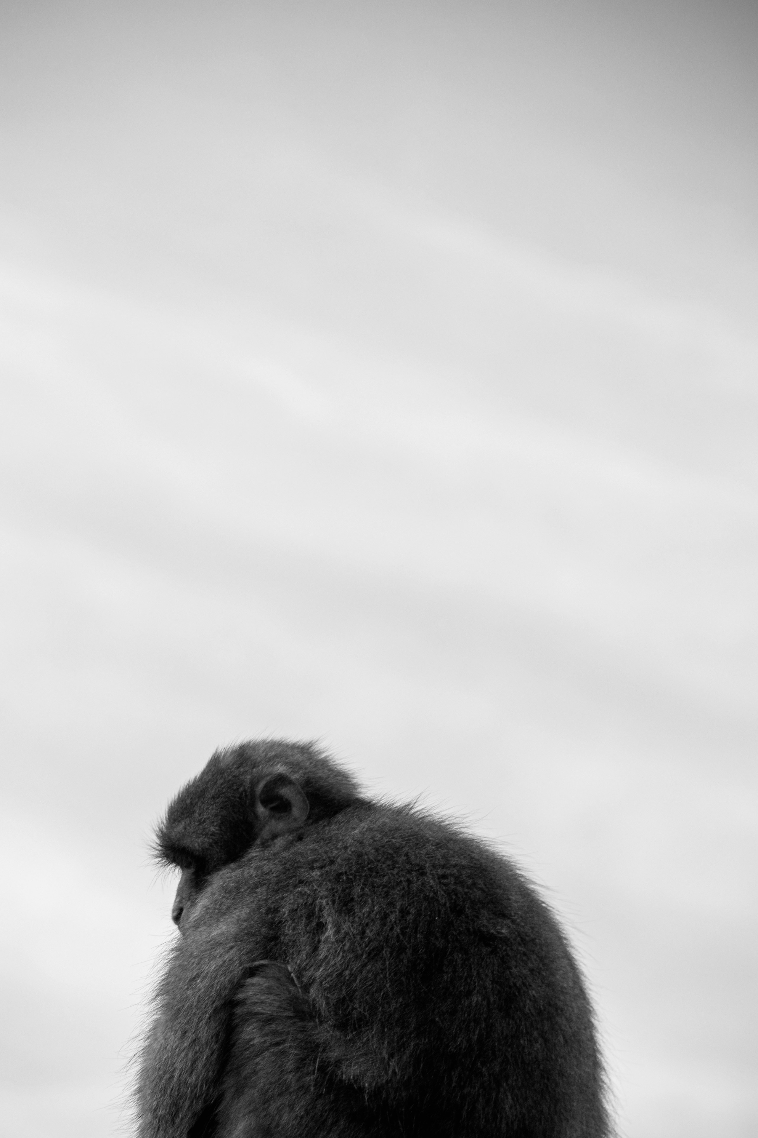 2026-09-pause-image-6