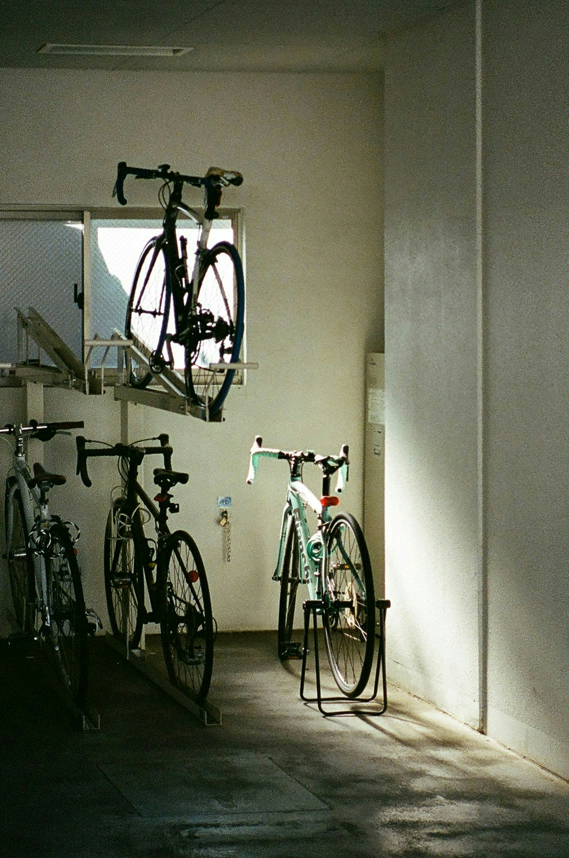2025-09-contax-t2-portra800-expression-momo-image-6