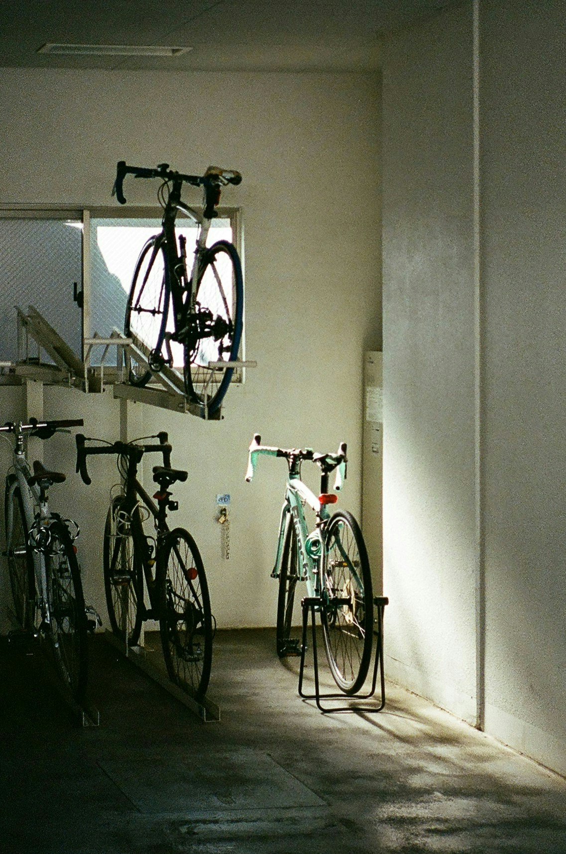 2025-09-contax-t2-portra800-expression-momo-image-6