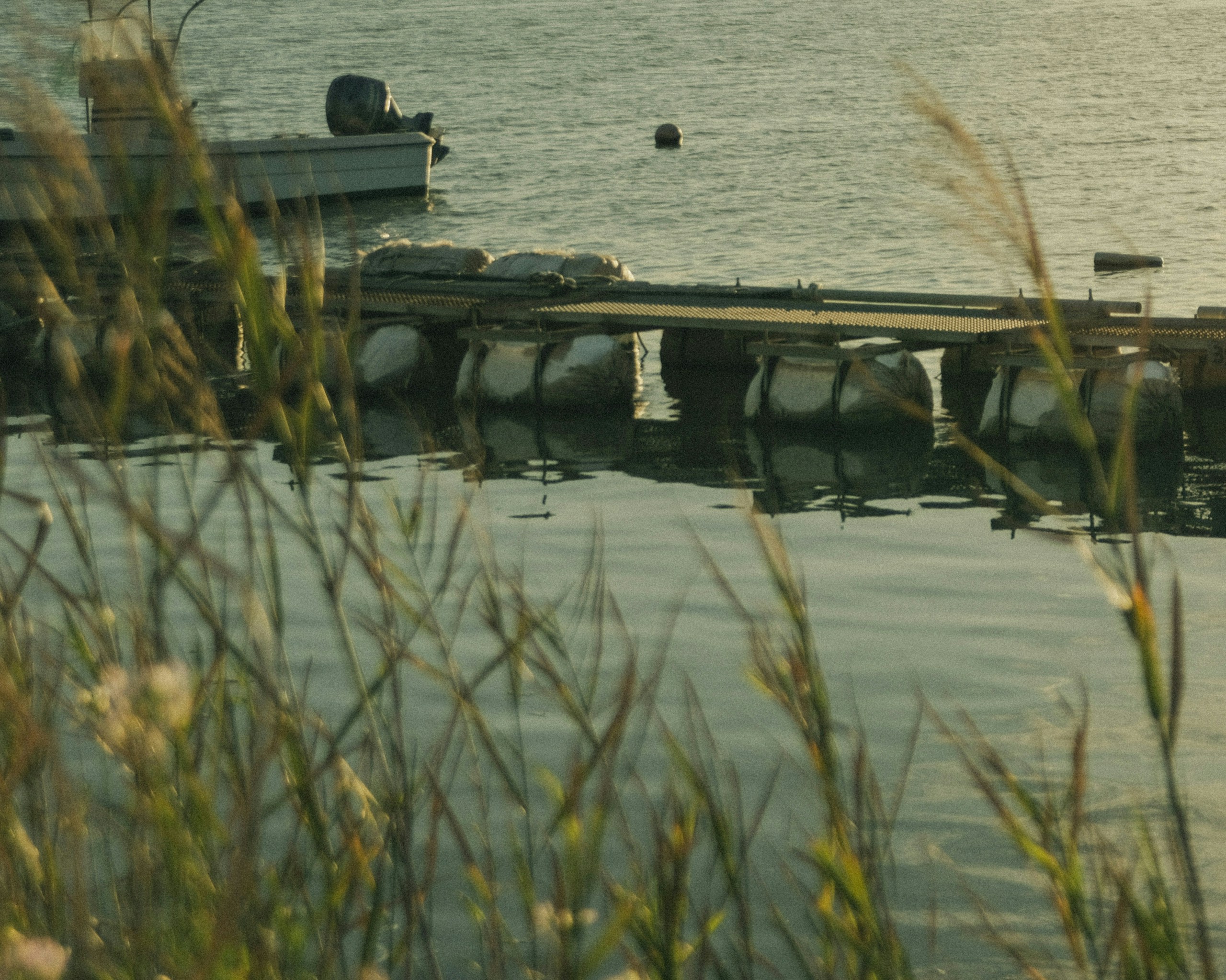 2026-06-third-landscape-image-12