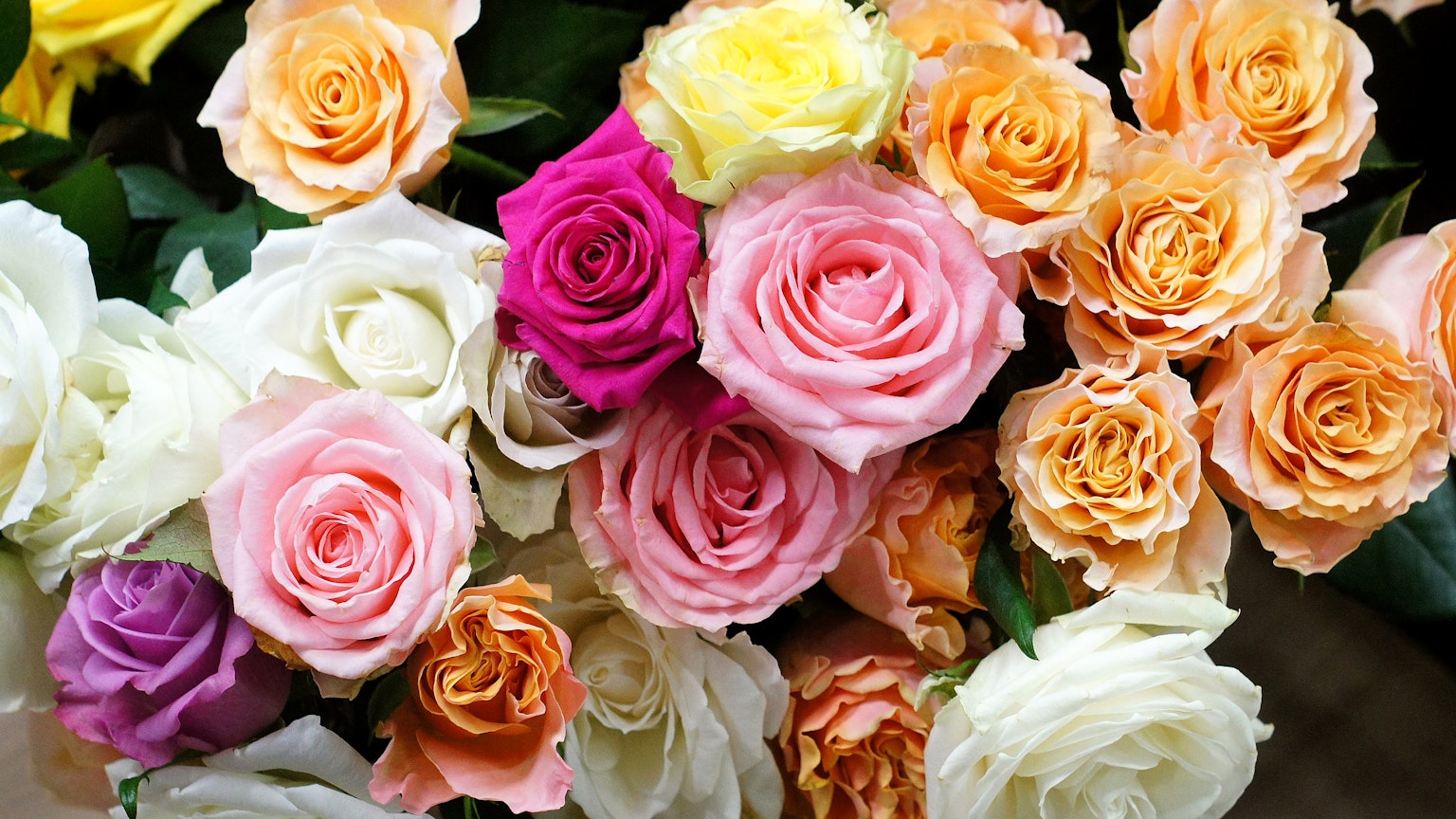 2024-06-flower-image-7