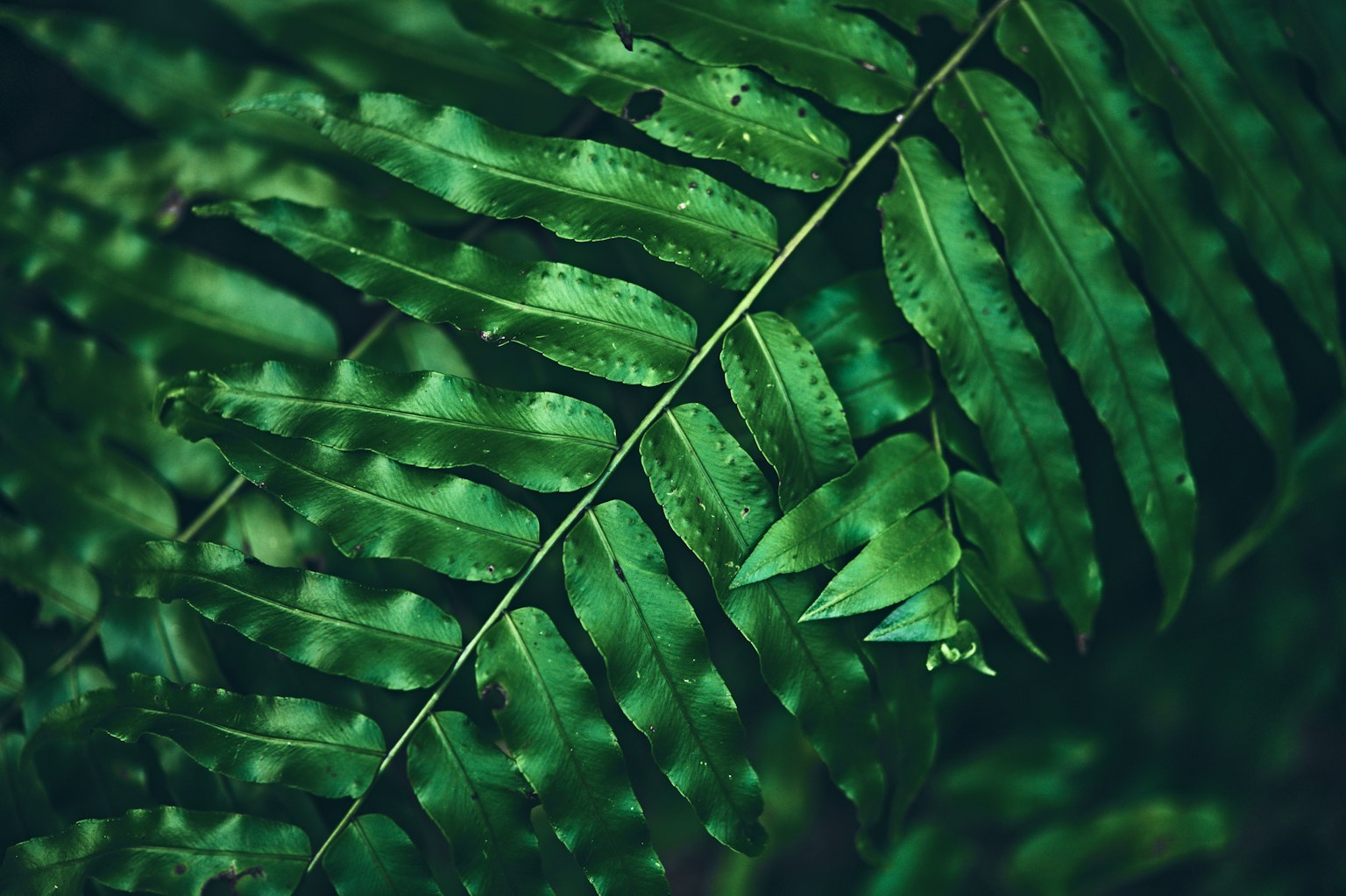 2024-02-i-was-here-image-8