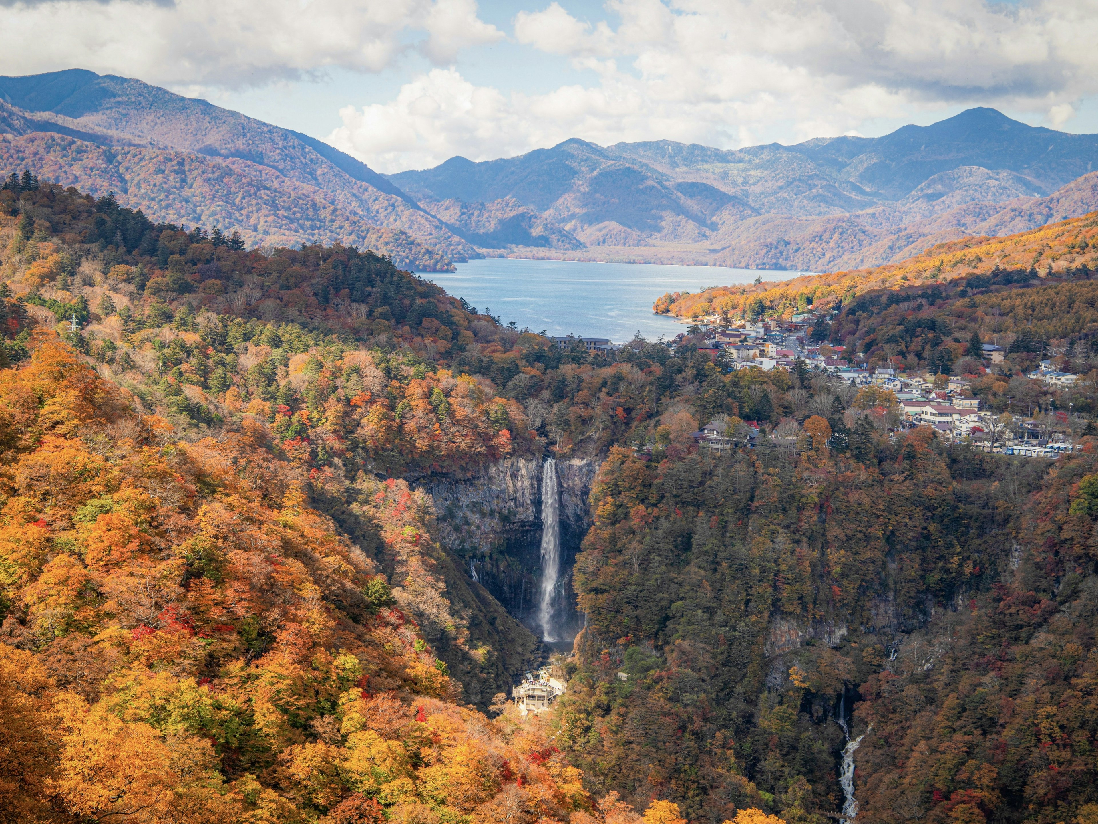 2024-10-japanese-autumn-leaves-image-3