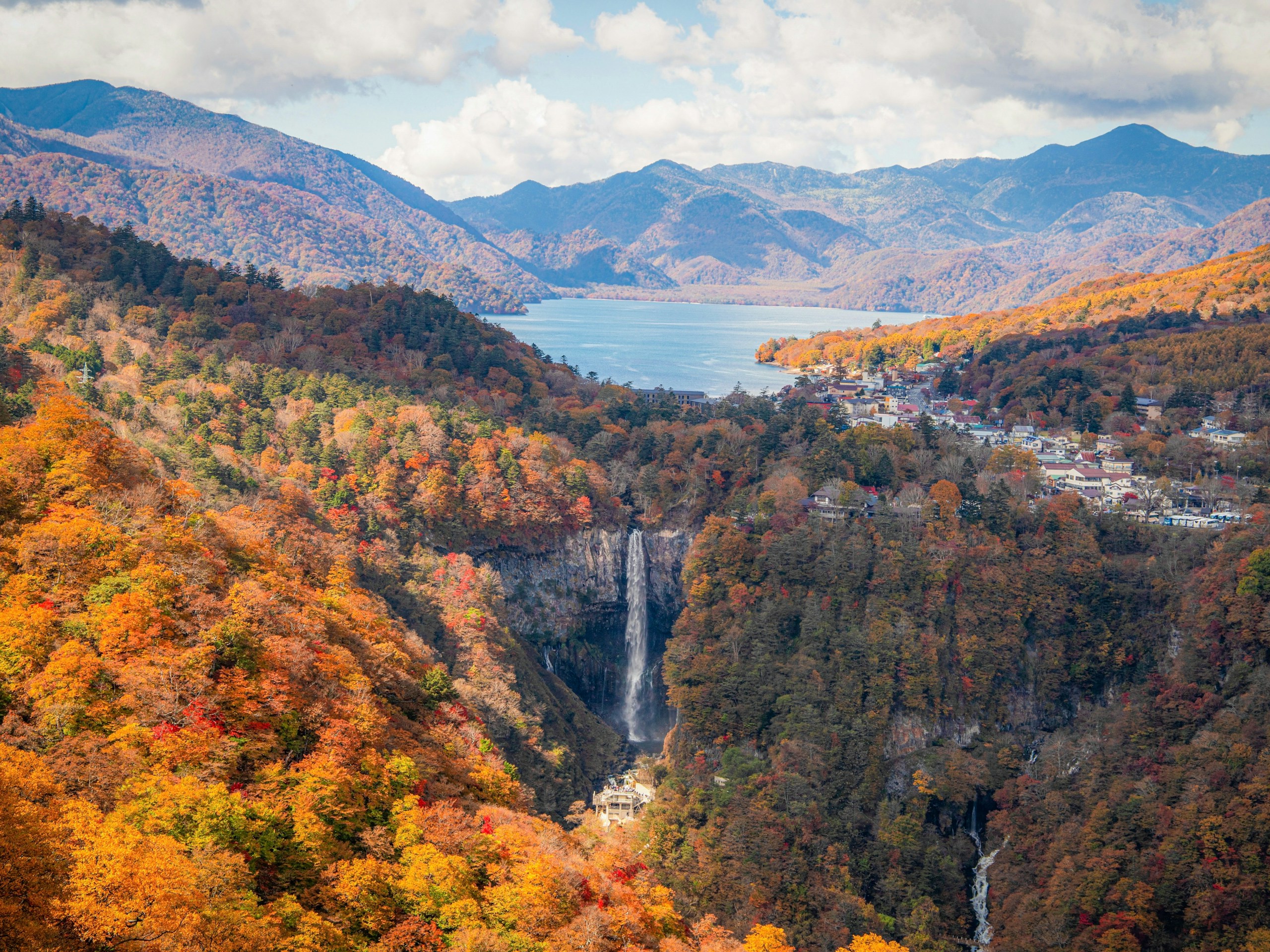 2024-10-japanese-autumn-leaves-image-3
