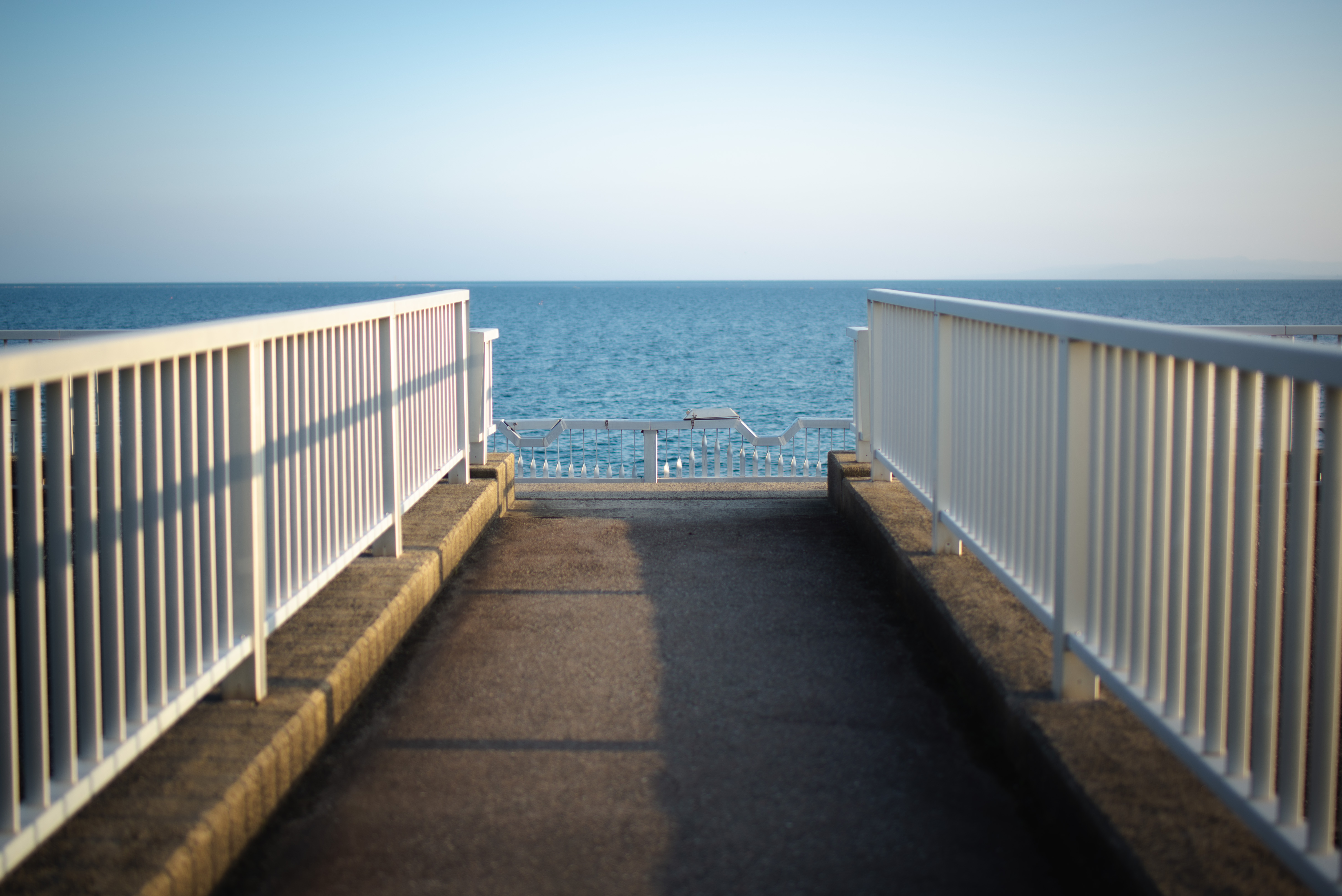 2023-05-capture-your-emotion-cover-image