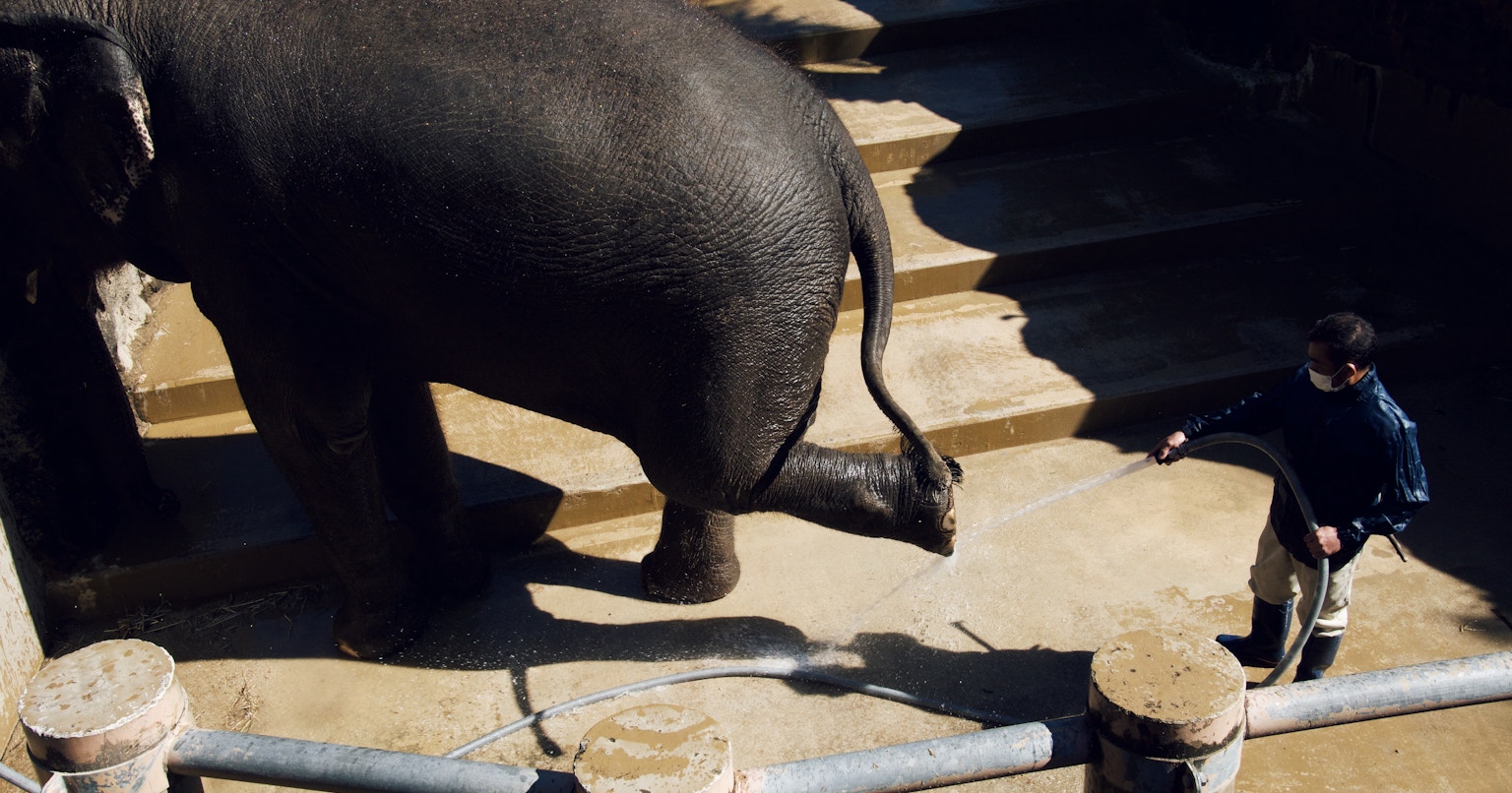 2024-03-i-was-here-award-cover-image