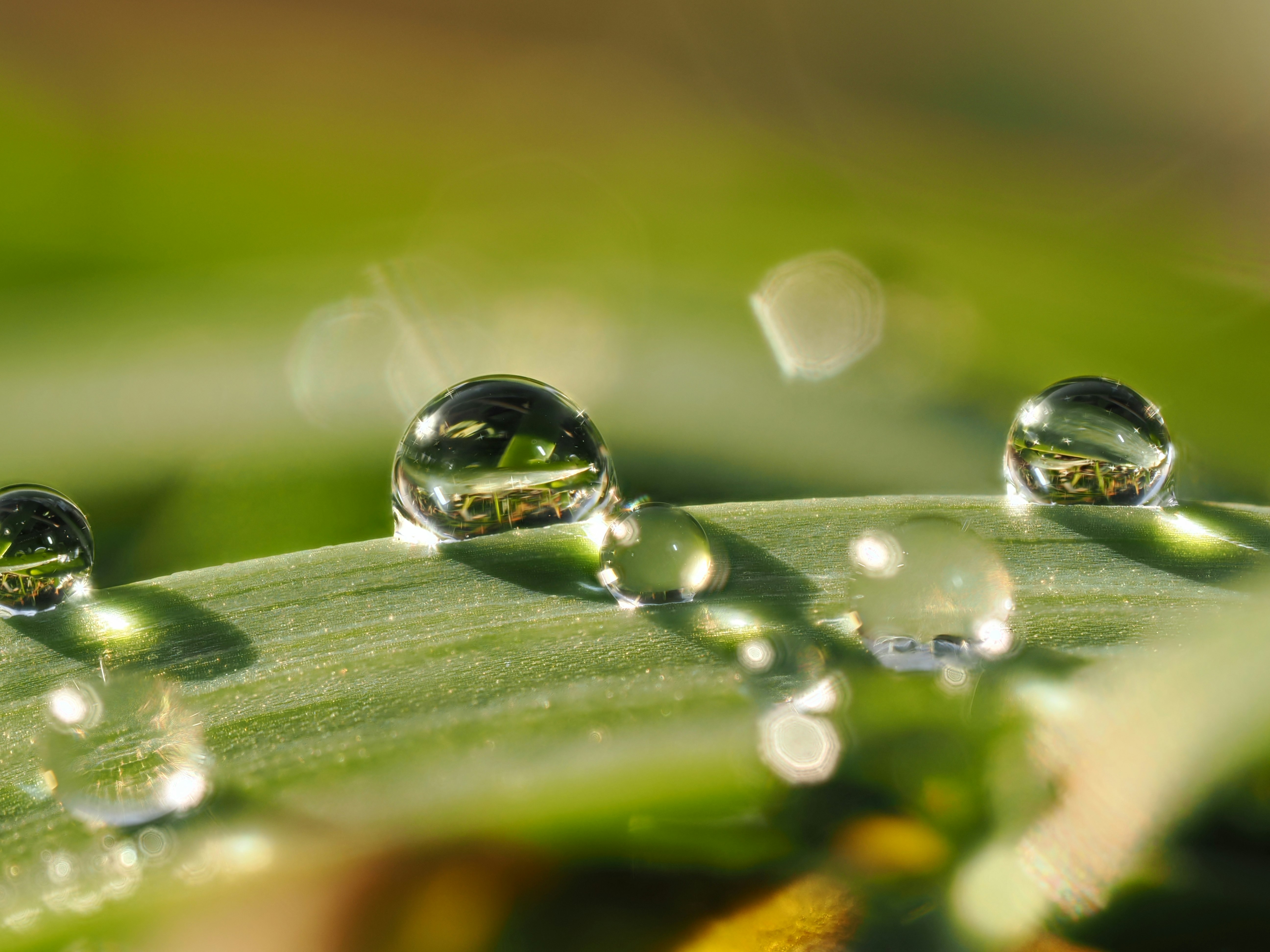 2026-04-zoom-in-award-cover-image